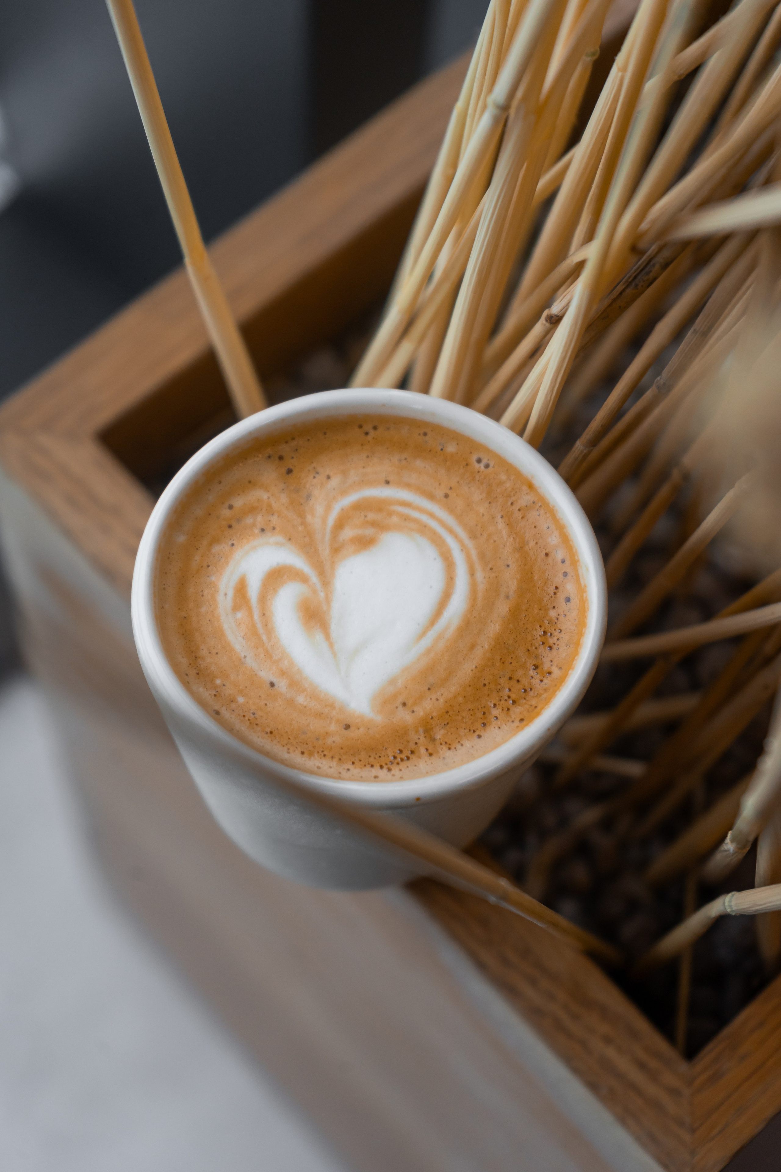 Negroni. Фуд-фотограф Караганда Астана