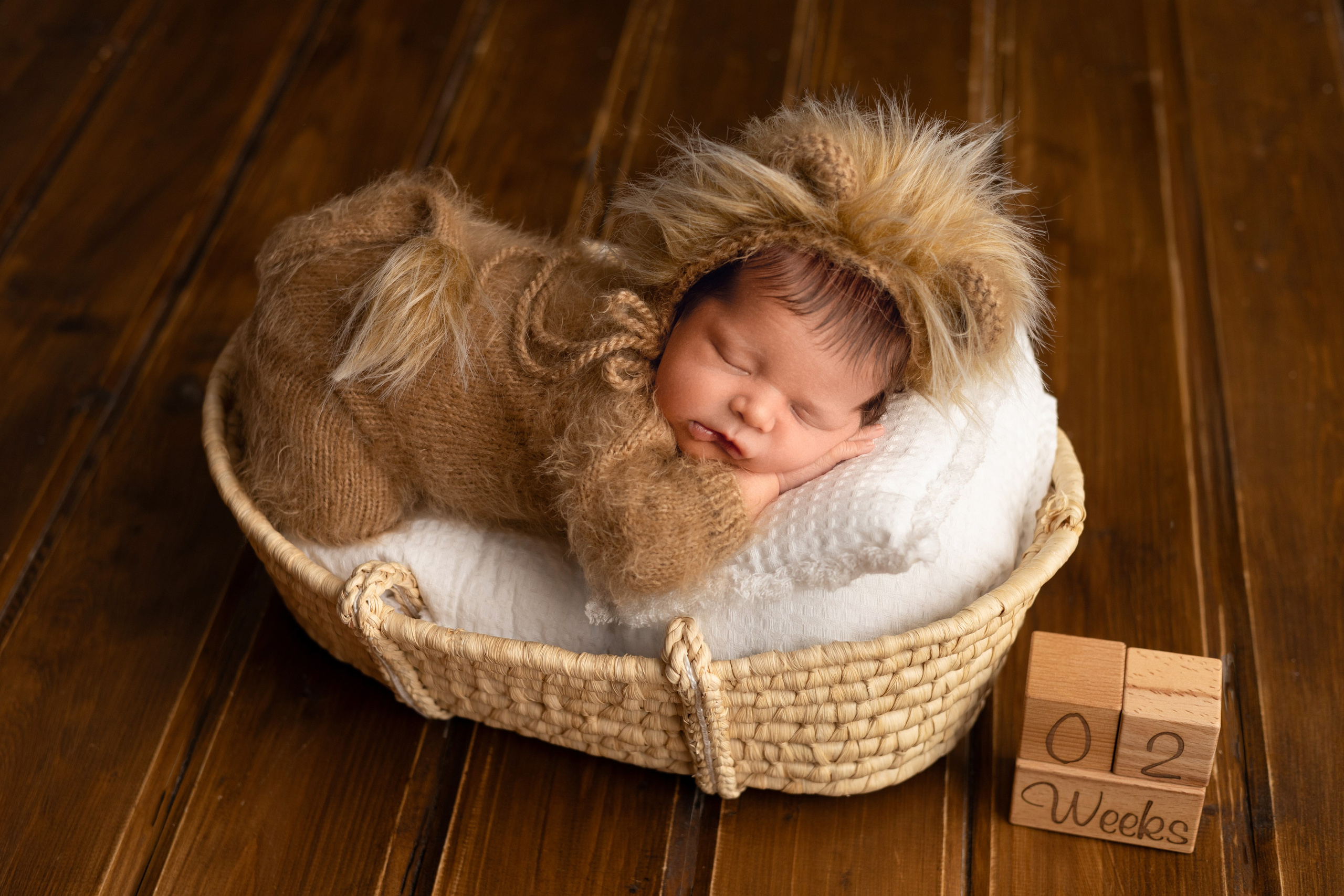 Лев. Фотограф новорожденных и детей до 18 месяцев в Уфе Эльвина