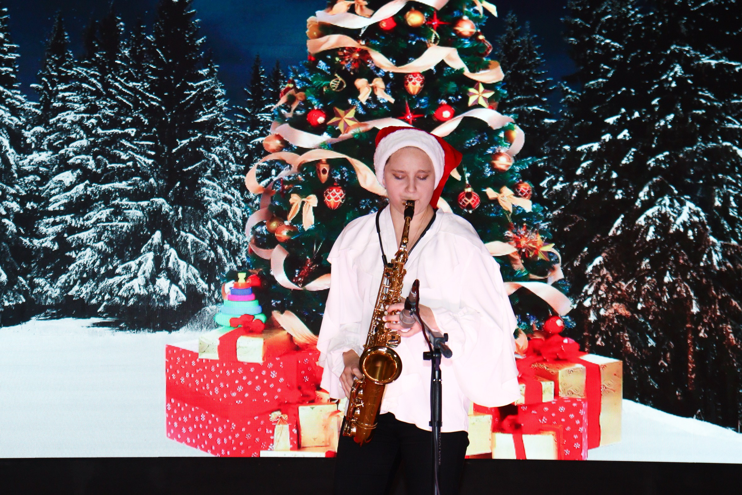 Новогодний концерт Шишли-Мышли