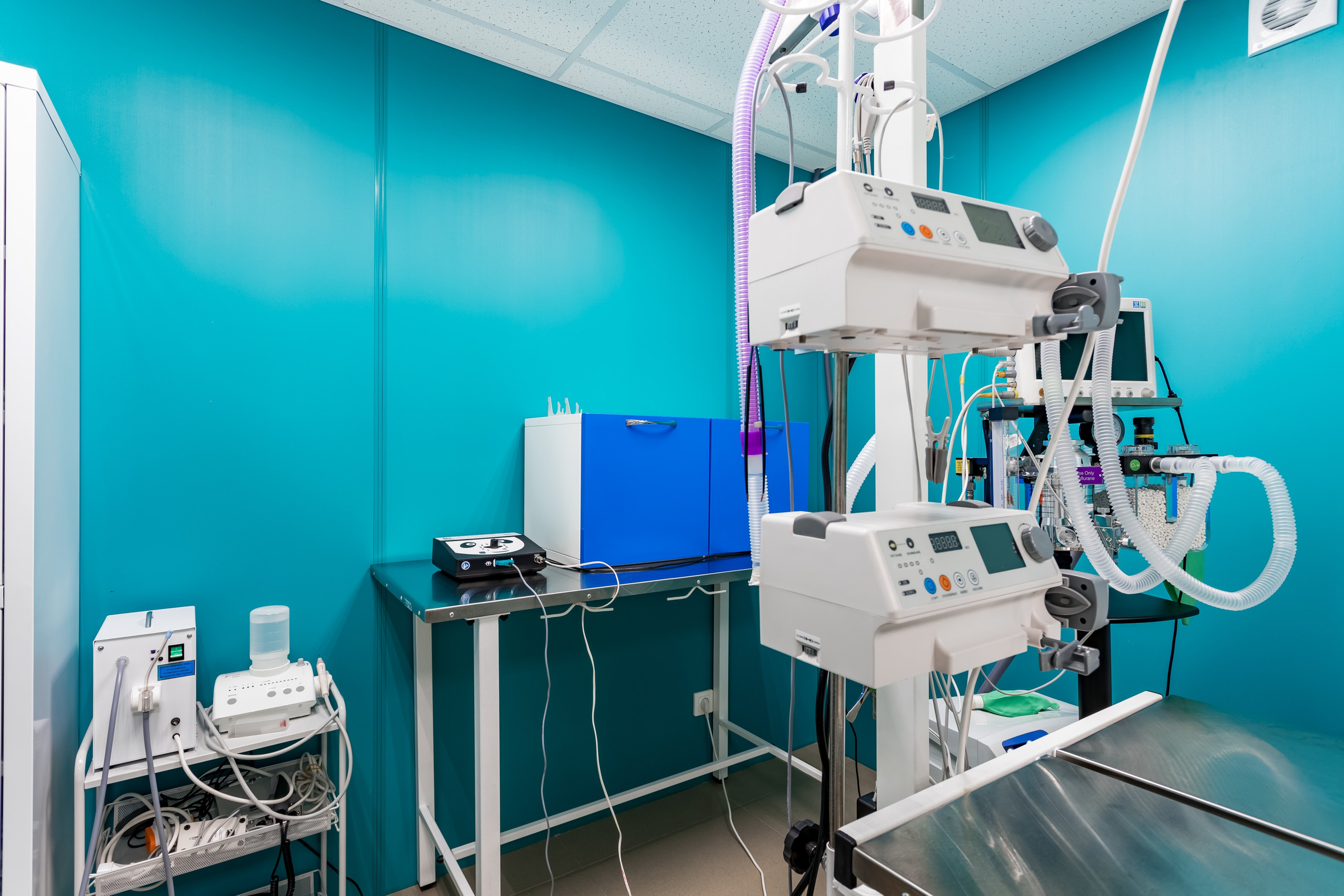 Интерьерная съемка для ветеринарной клиники Прив-вет. Интерьеры, Контент, Портреты | Фотограф в Москве Дани Терно