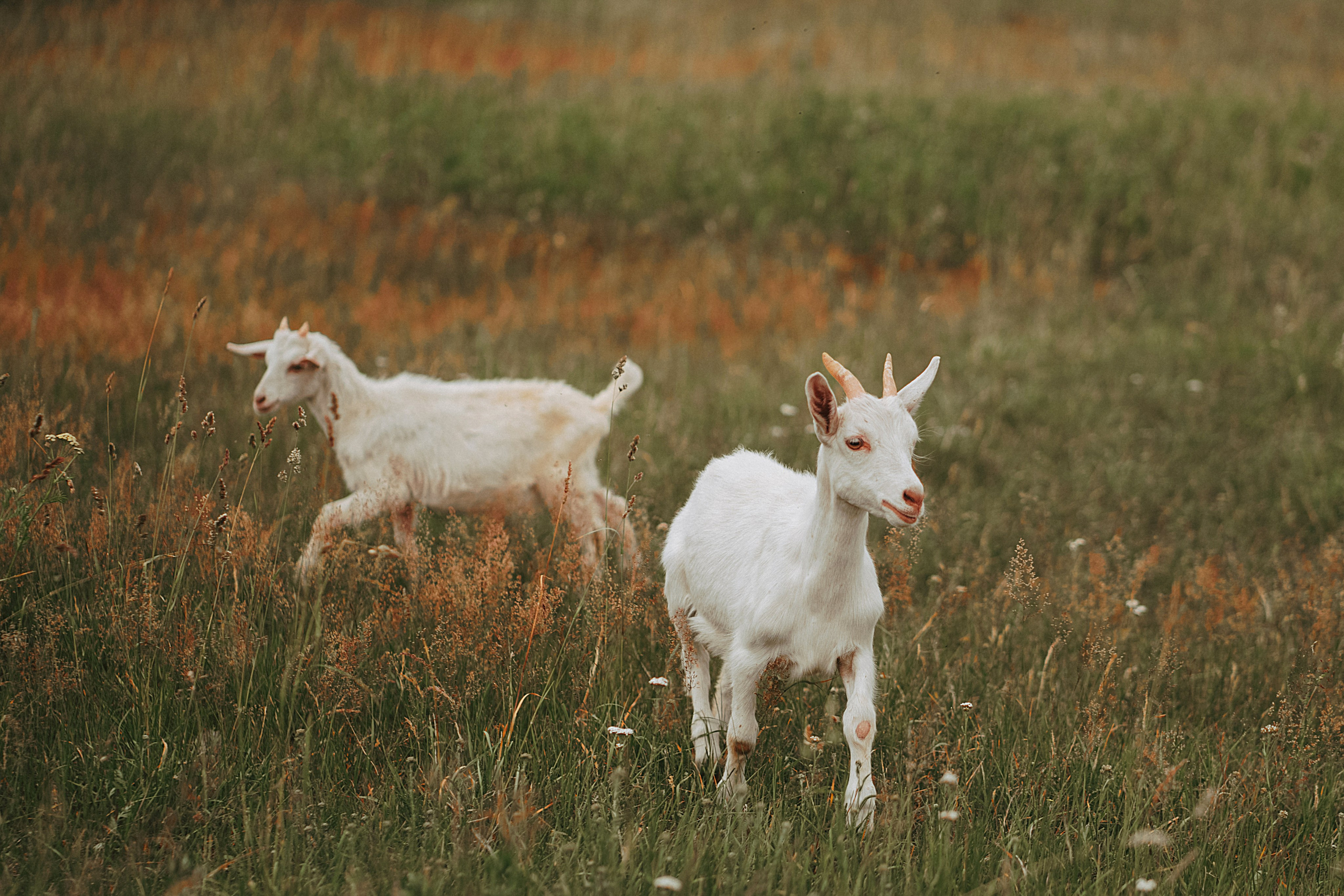 Индивидуальные. Главная