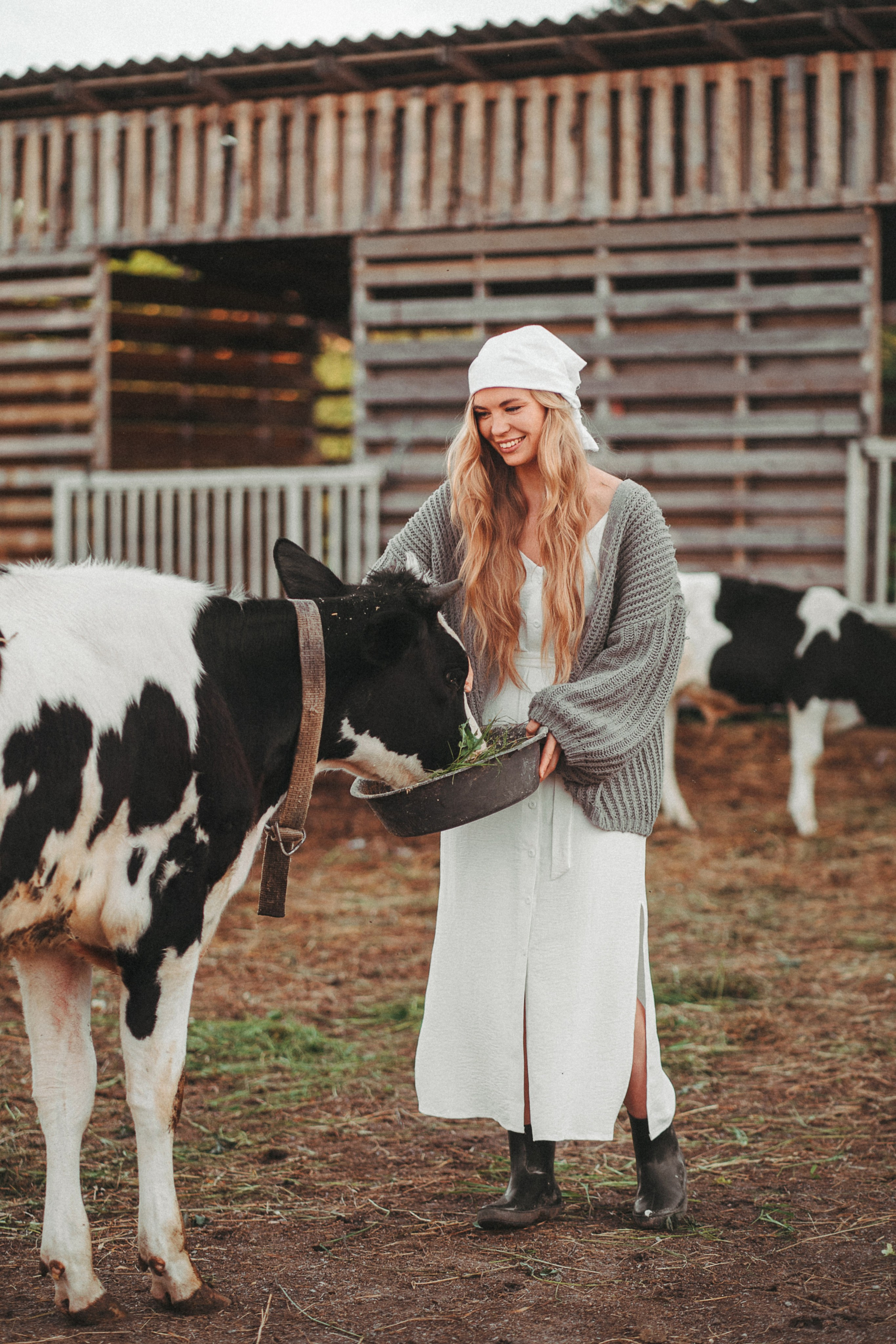 Художественные. Главная