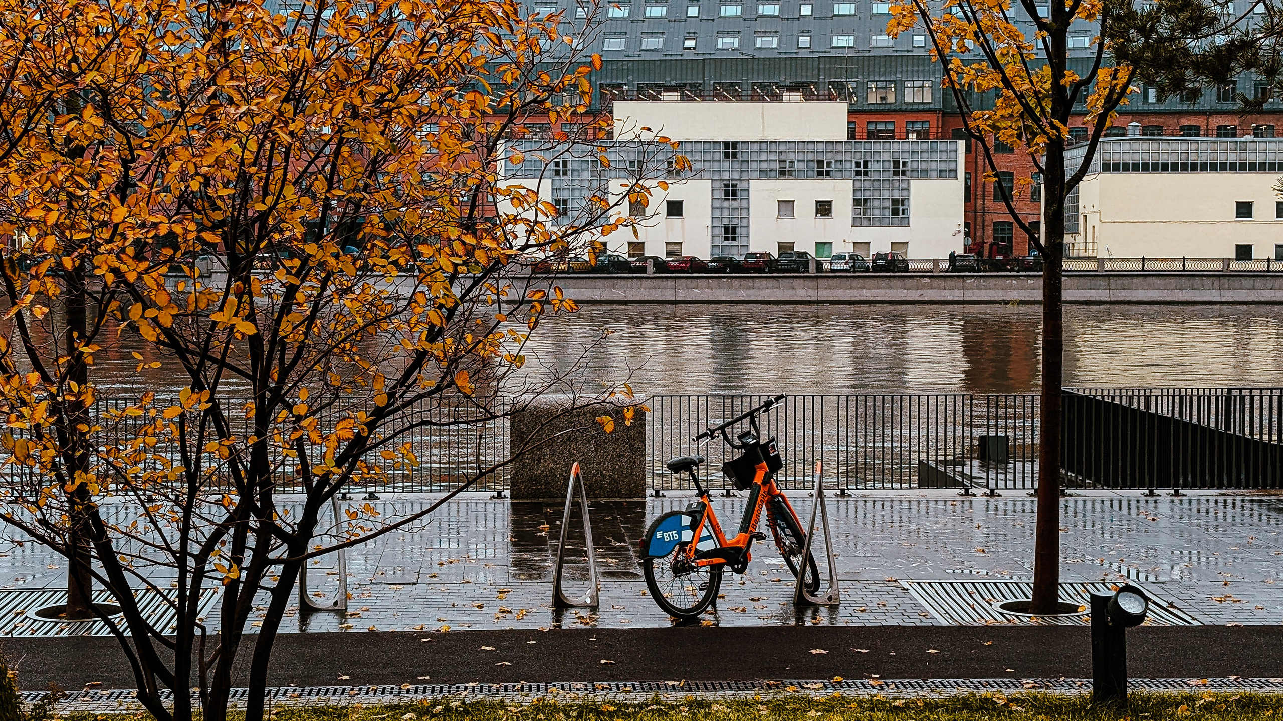Мобильная фотография. Интерьерный и портретный фотограф в Москве Анна Моногарова