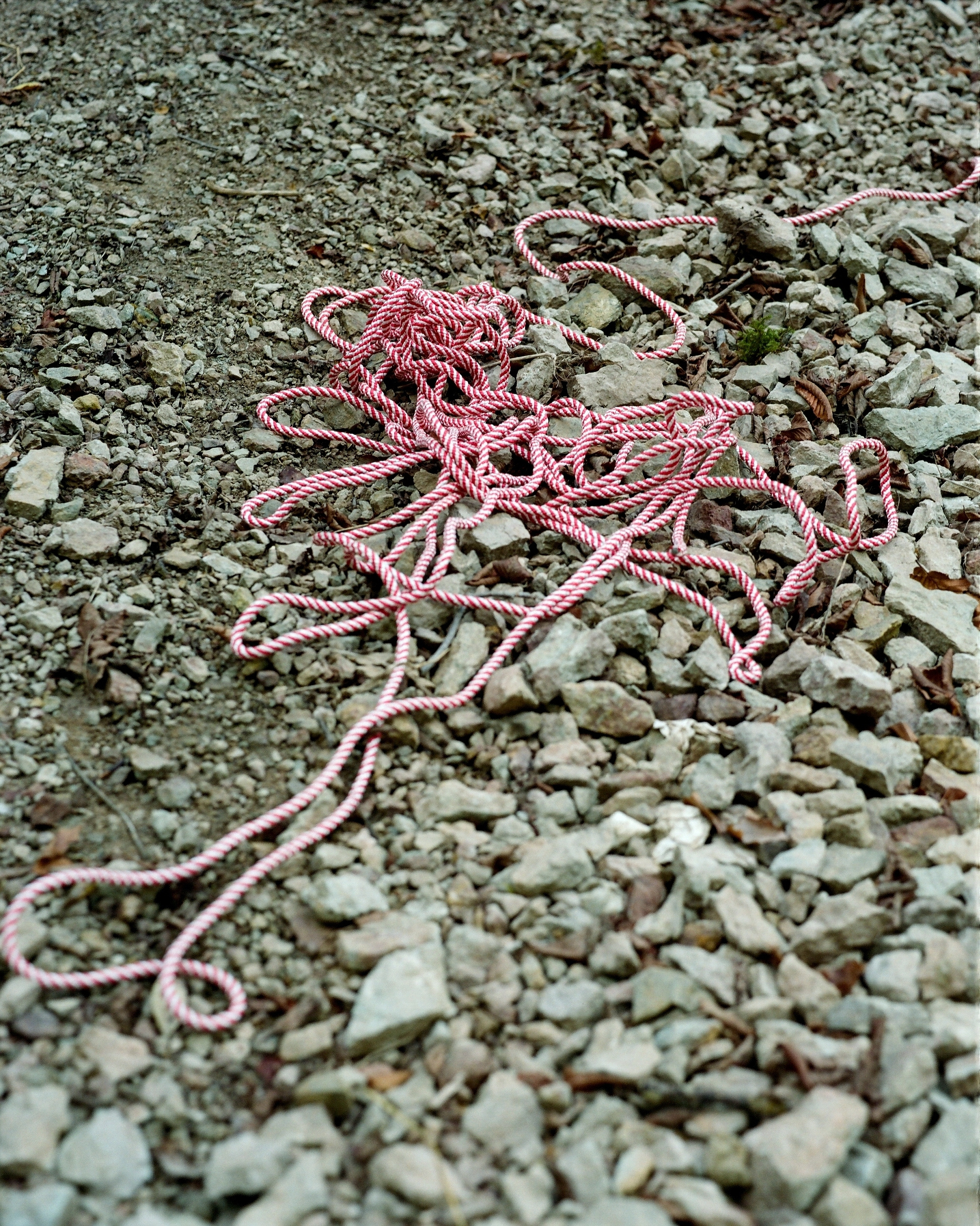 Дневник каньона. Екатерина Васильева художник, куратор и преподаватель