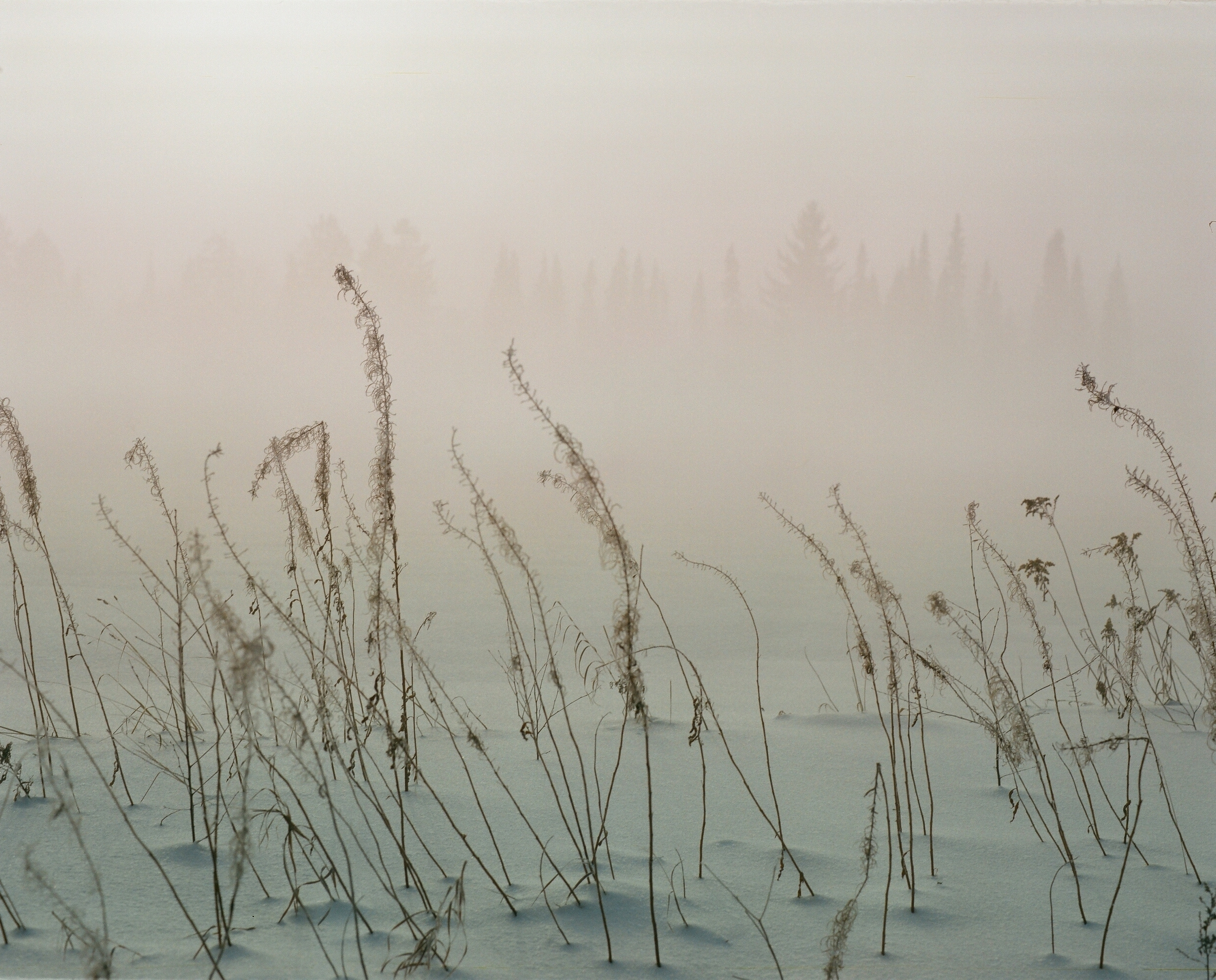 Дневник каньона. Екатерина Васильева художник, куратор и преподаватель