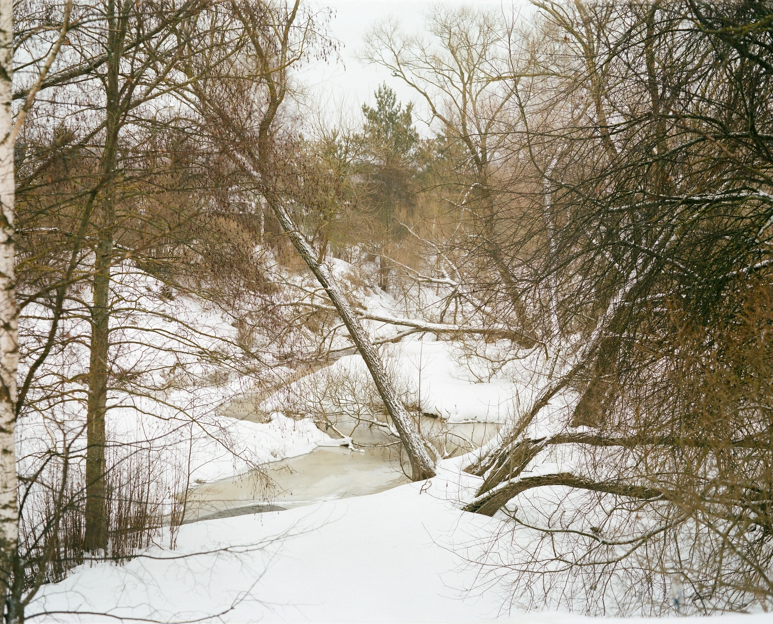 Дневник каньона. Екатерина Васильева художник, куратор и преподаватель