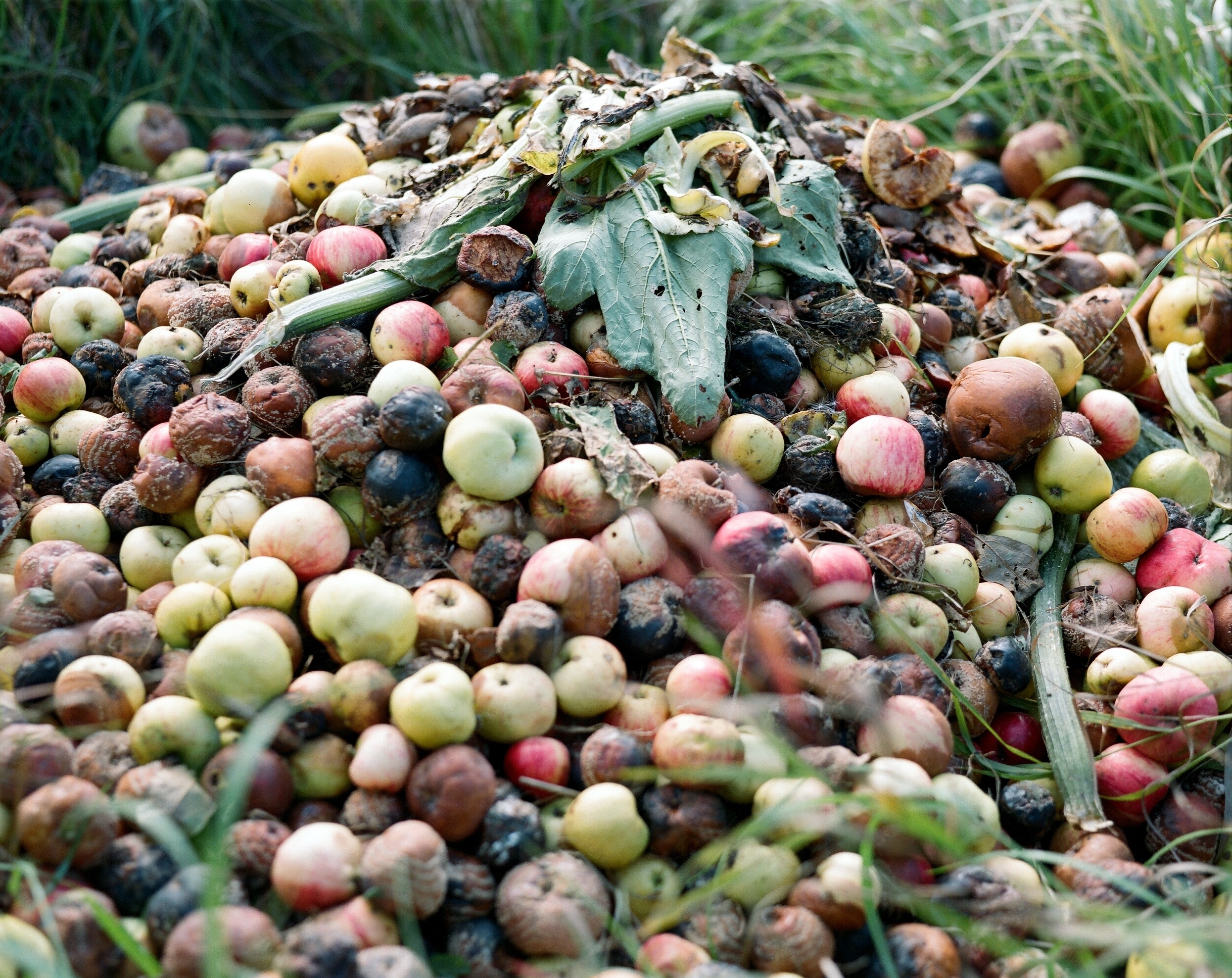 Дневник каньона. Екатерина Васильева художник, куратор и преподаватель