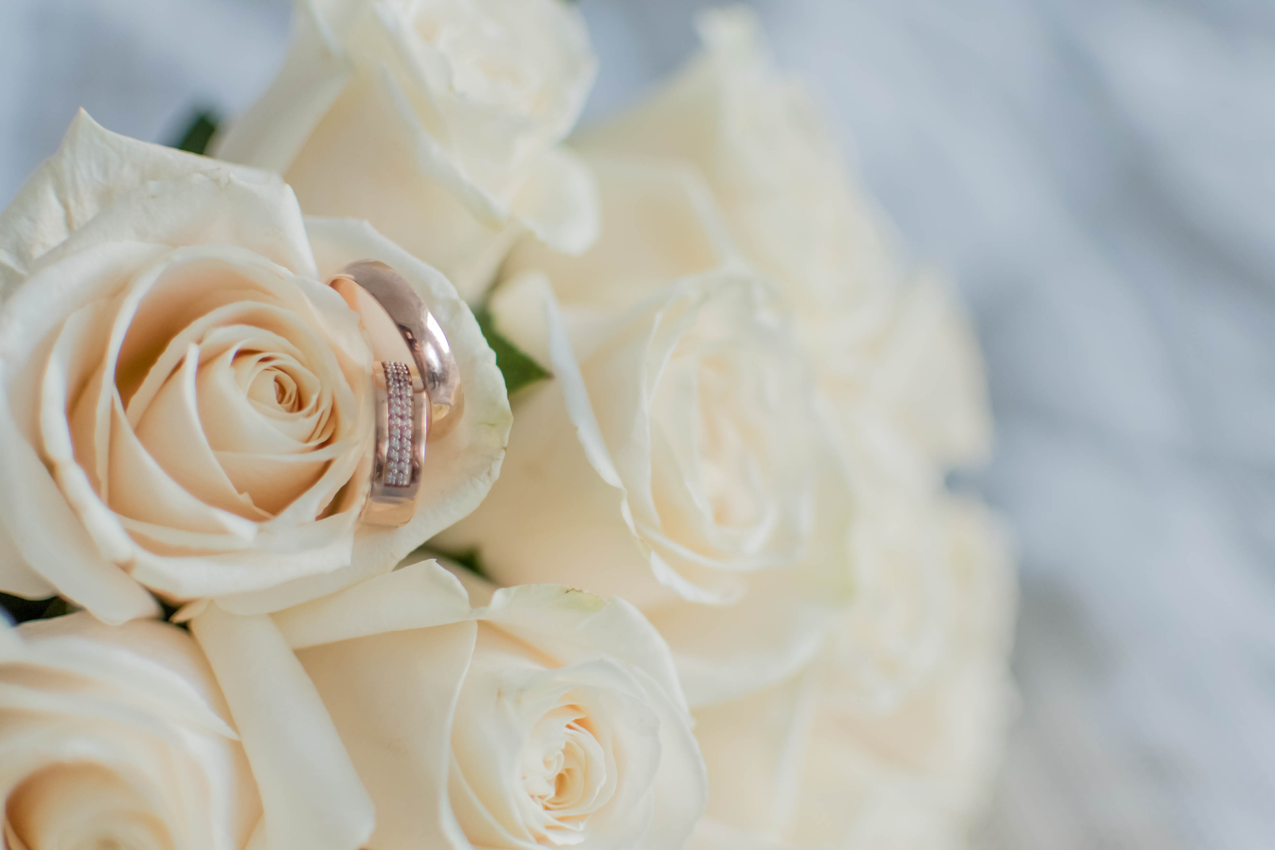 Март, 2021 — Балашиха. Свадебный и семейный фотограф Екатерина Пушан. Москва, Балашиха, Железнодорожный, Солнечногорск