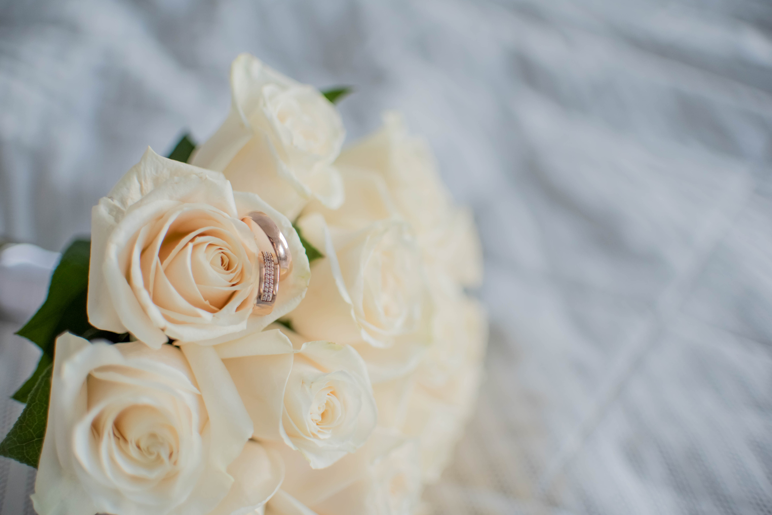 Март, 2021 — Балашиха. Свадебный и семейный фотограф Екатерина Пушан. Москва, Балашиха, Железнодорожный, Солнечногорск