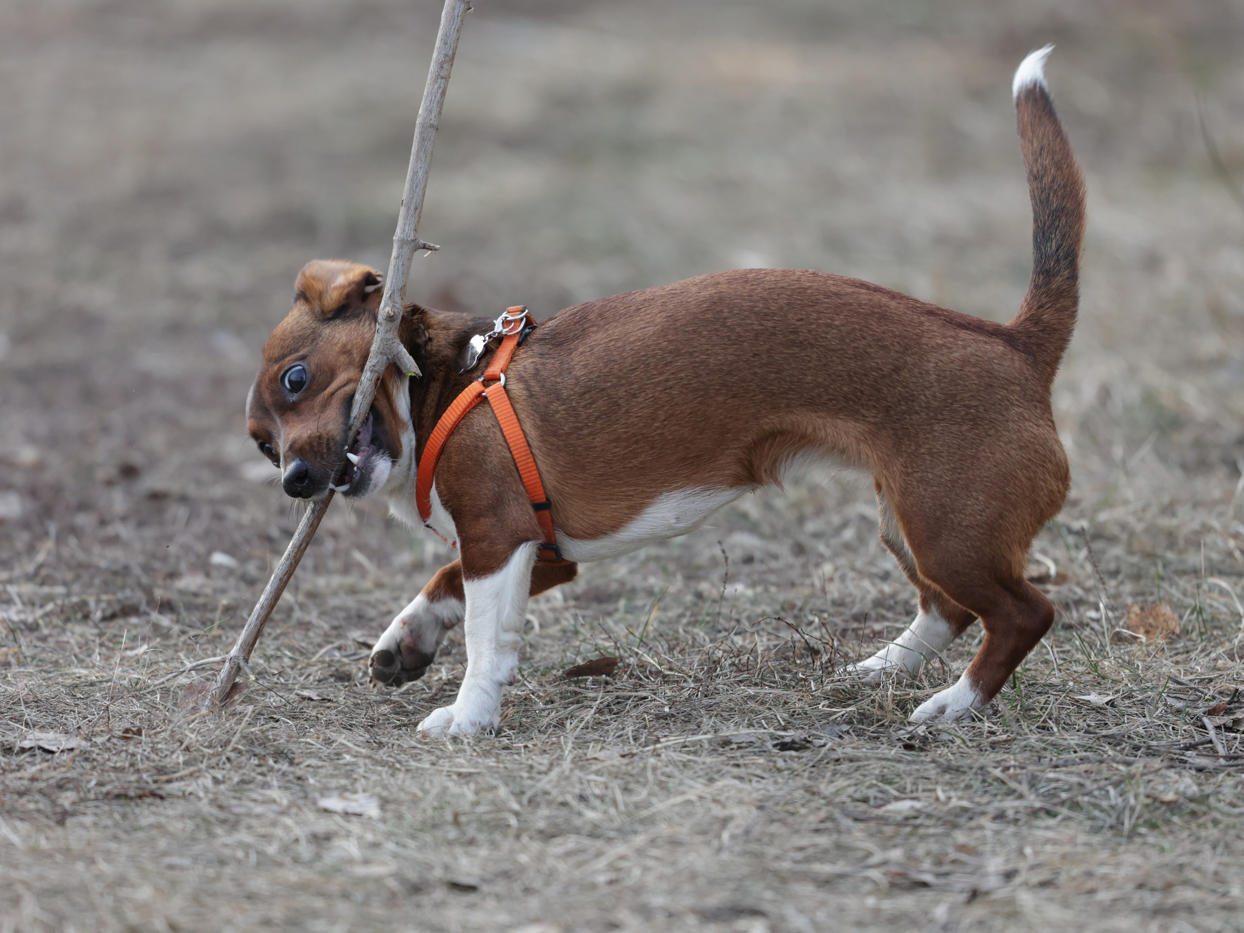 Мия. Фотограф для маркетплейсов, фотоуслуги в Жуковском Татьяна Марсуверских