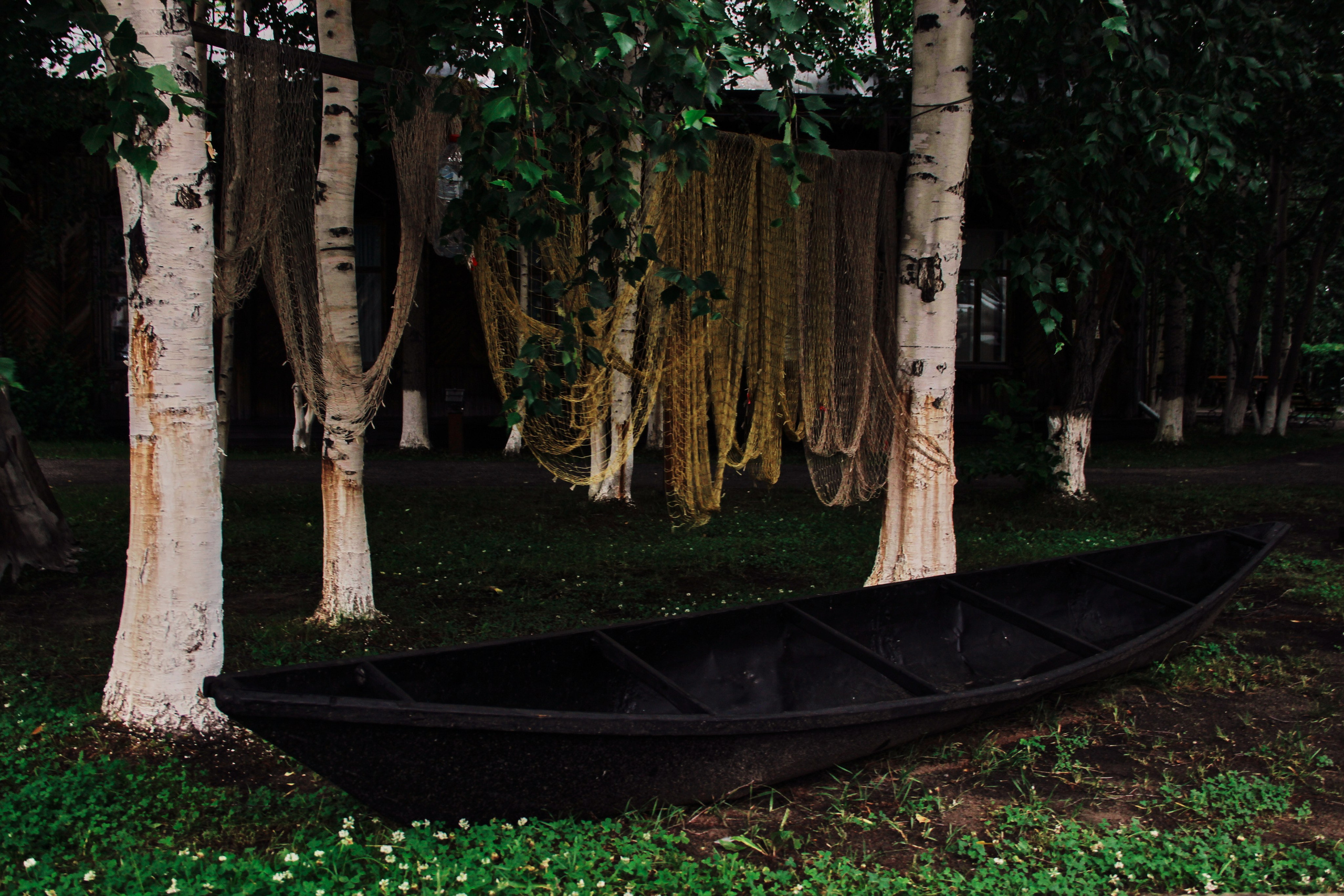 «Фестиваль традиционных русских ценностей» (5.07.2025 г.). Фотограф: IRINA K