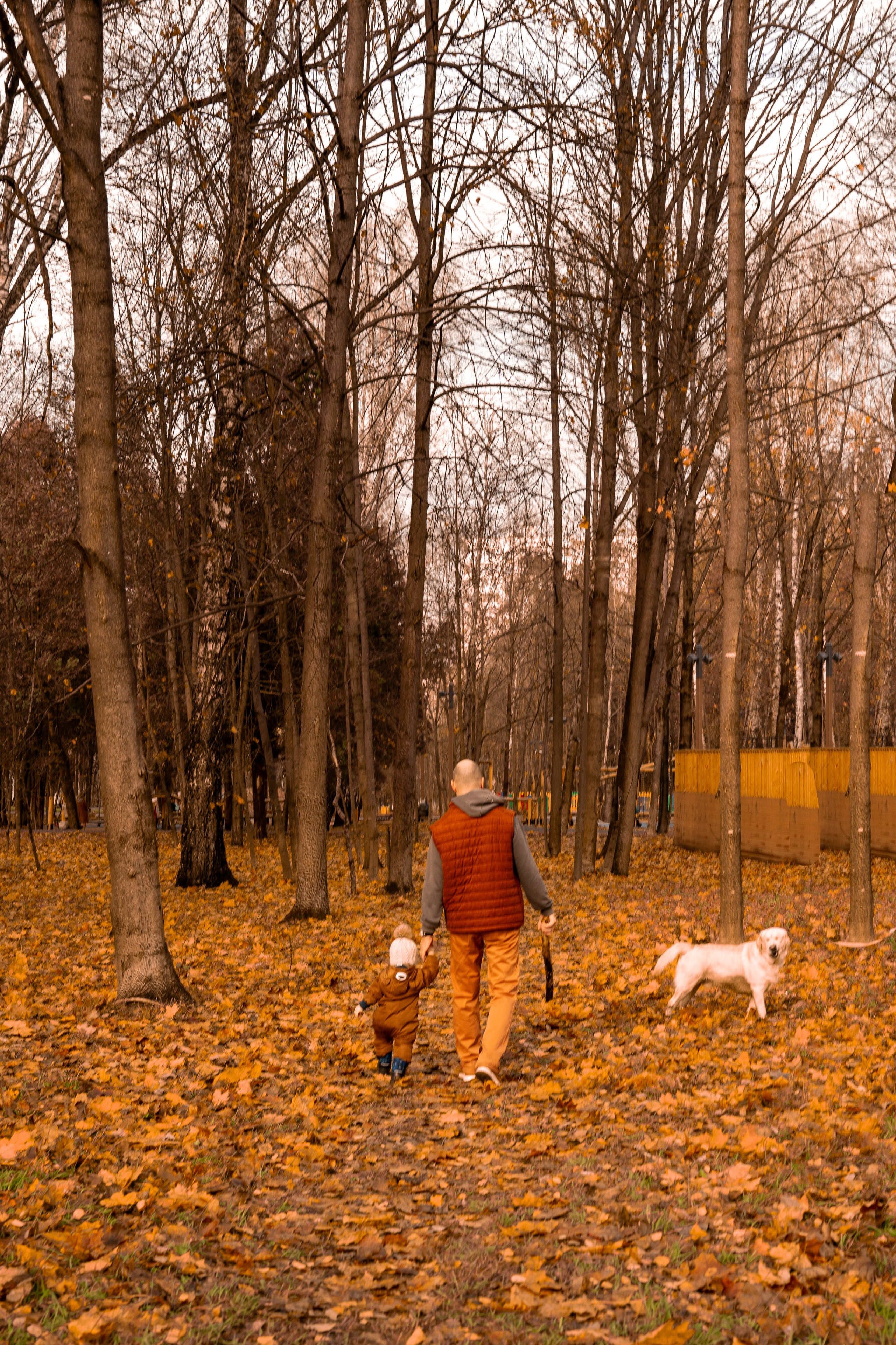 Осень. Детский и семейный фотограф в Краснознаменске Гостеева Екатерина