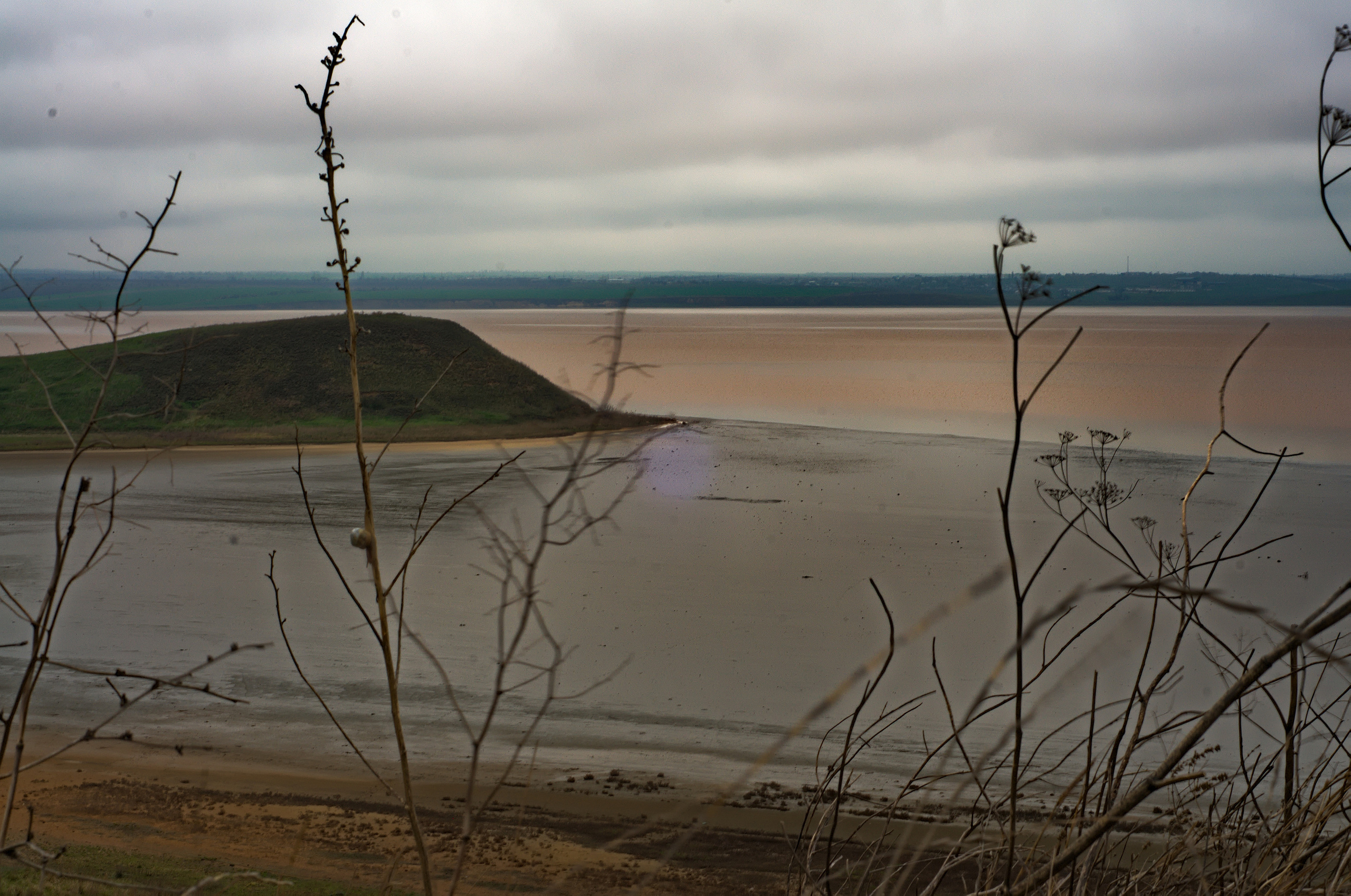 Для души. Сейчас вылетит ПТИЧКА! Фотосессии в Керчи