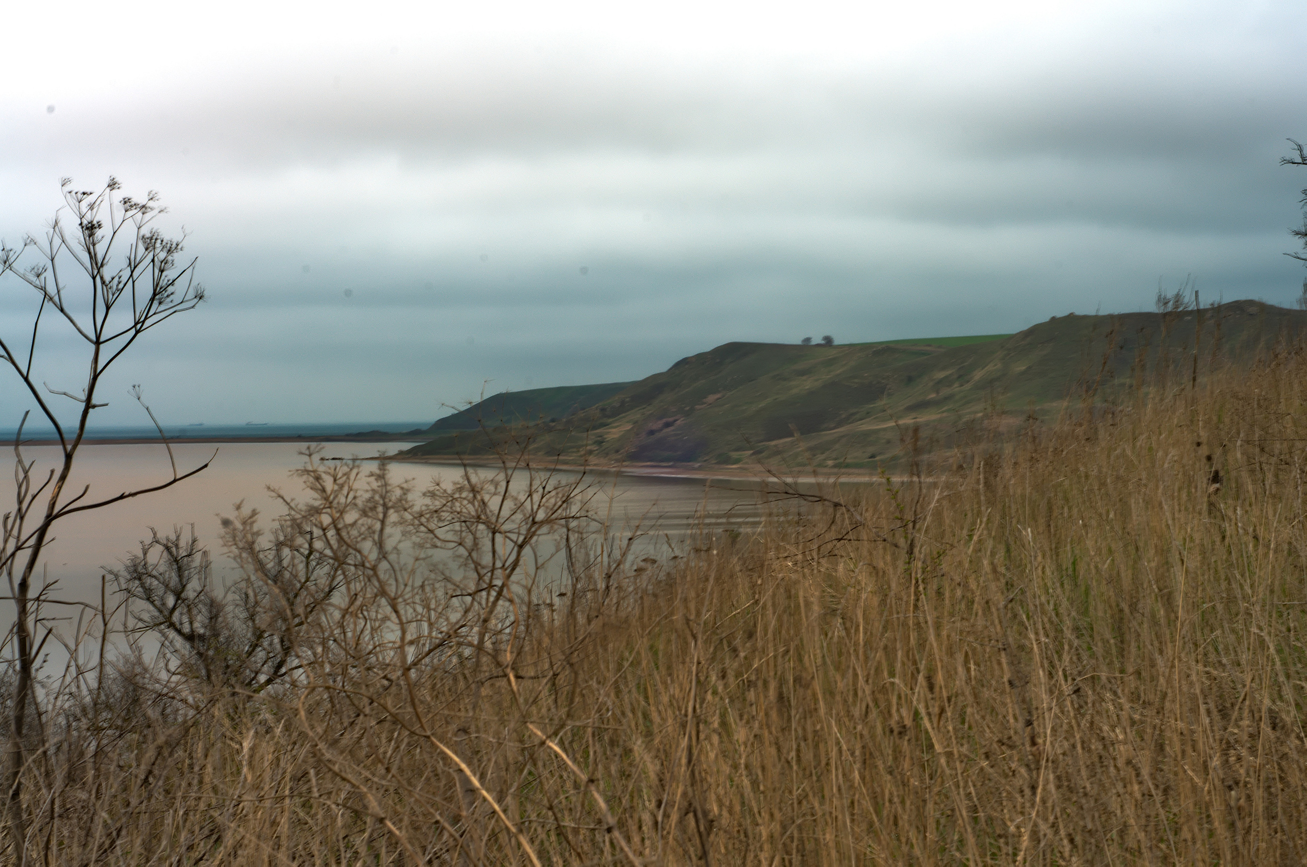 Для души. Сейчас вылетит ПТИЧКА! Фотосессии в Керчи