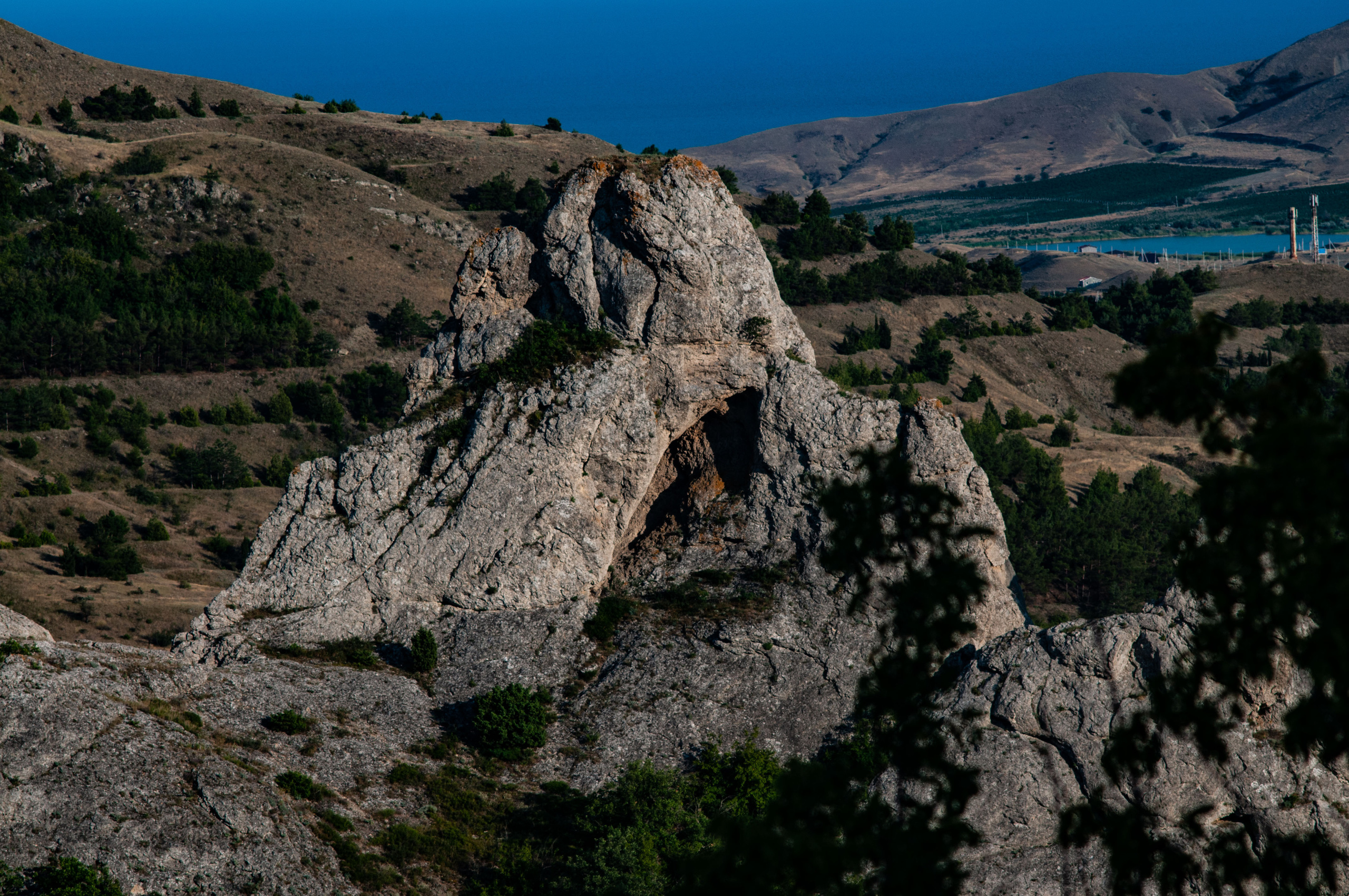 Для души. Сейчас вылетит ПТИЧКА! Фотосессии в Керчи