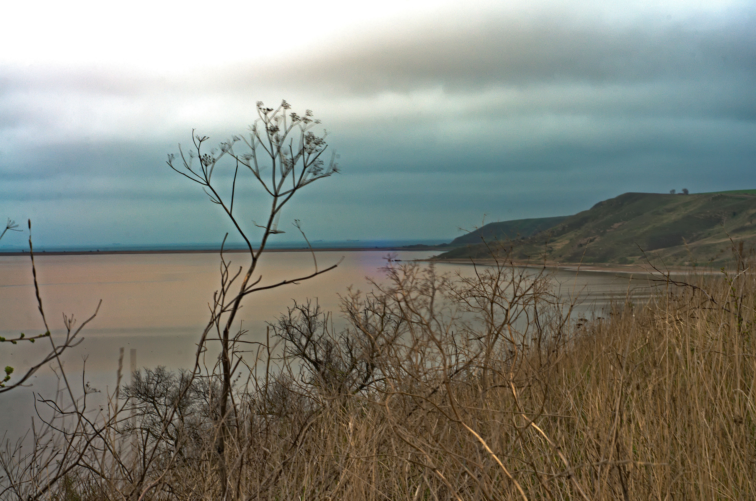 Для души. Сейчас вылетит ПТИЧКА! Фотосессии в Керчи