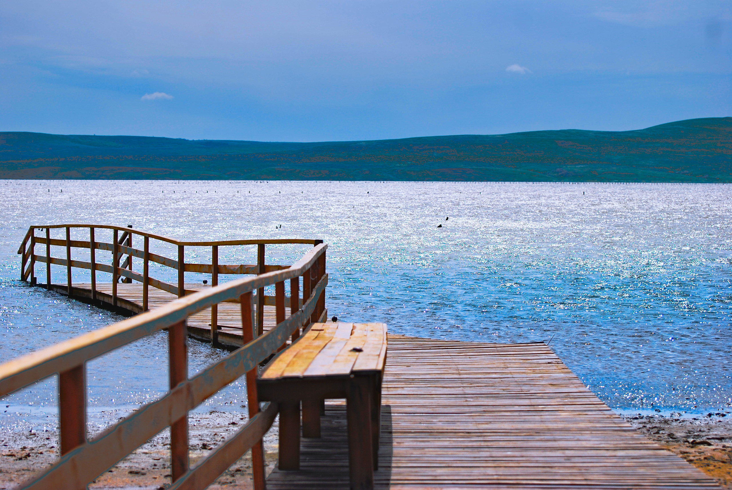 Для души. Сейчас вылетит ПТИЧКА! Фотосессии в Керчи