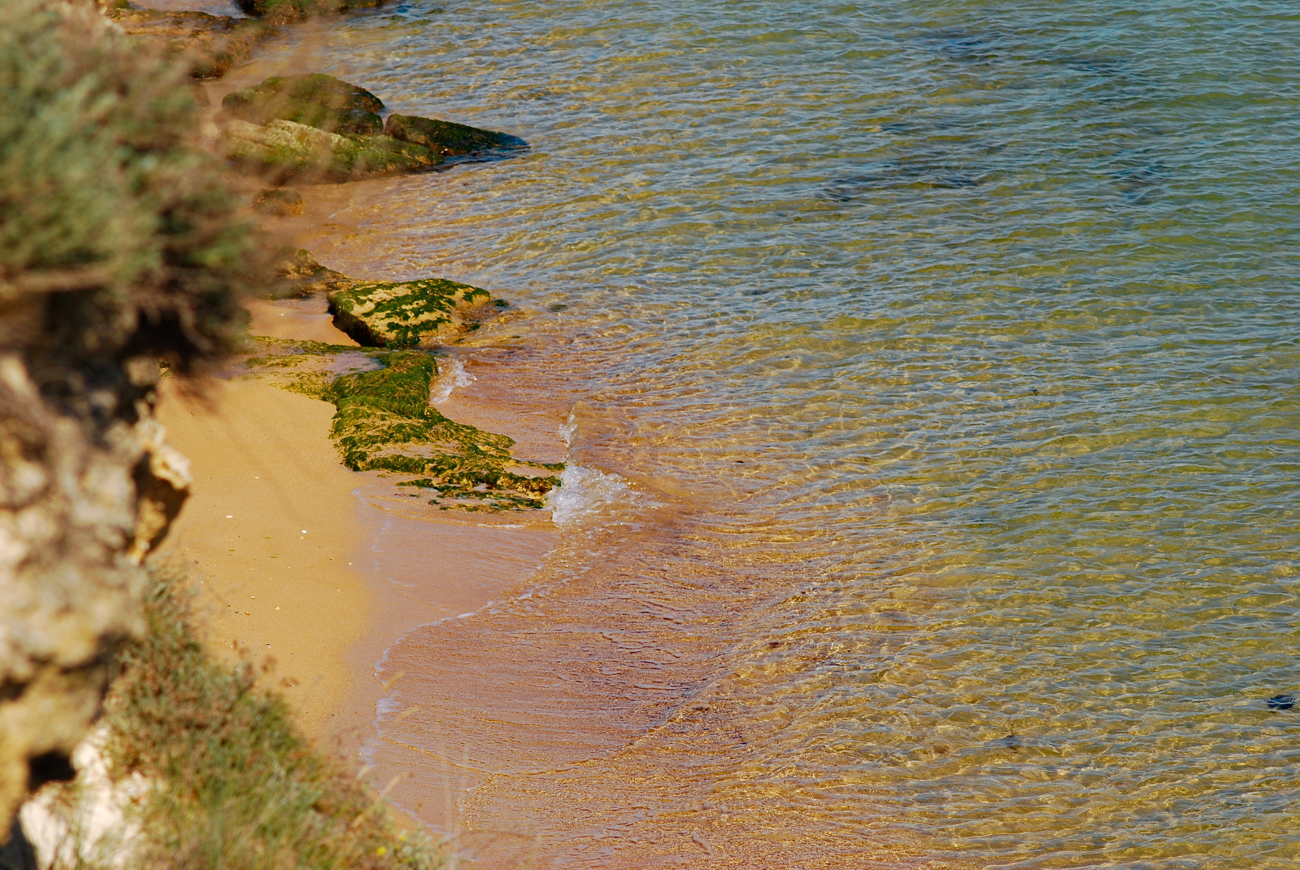 Для души. Сейчас вылетит ПТИЧКА! Фотосессии в Керчи