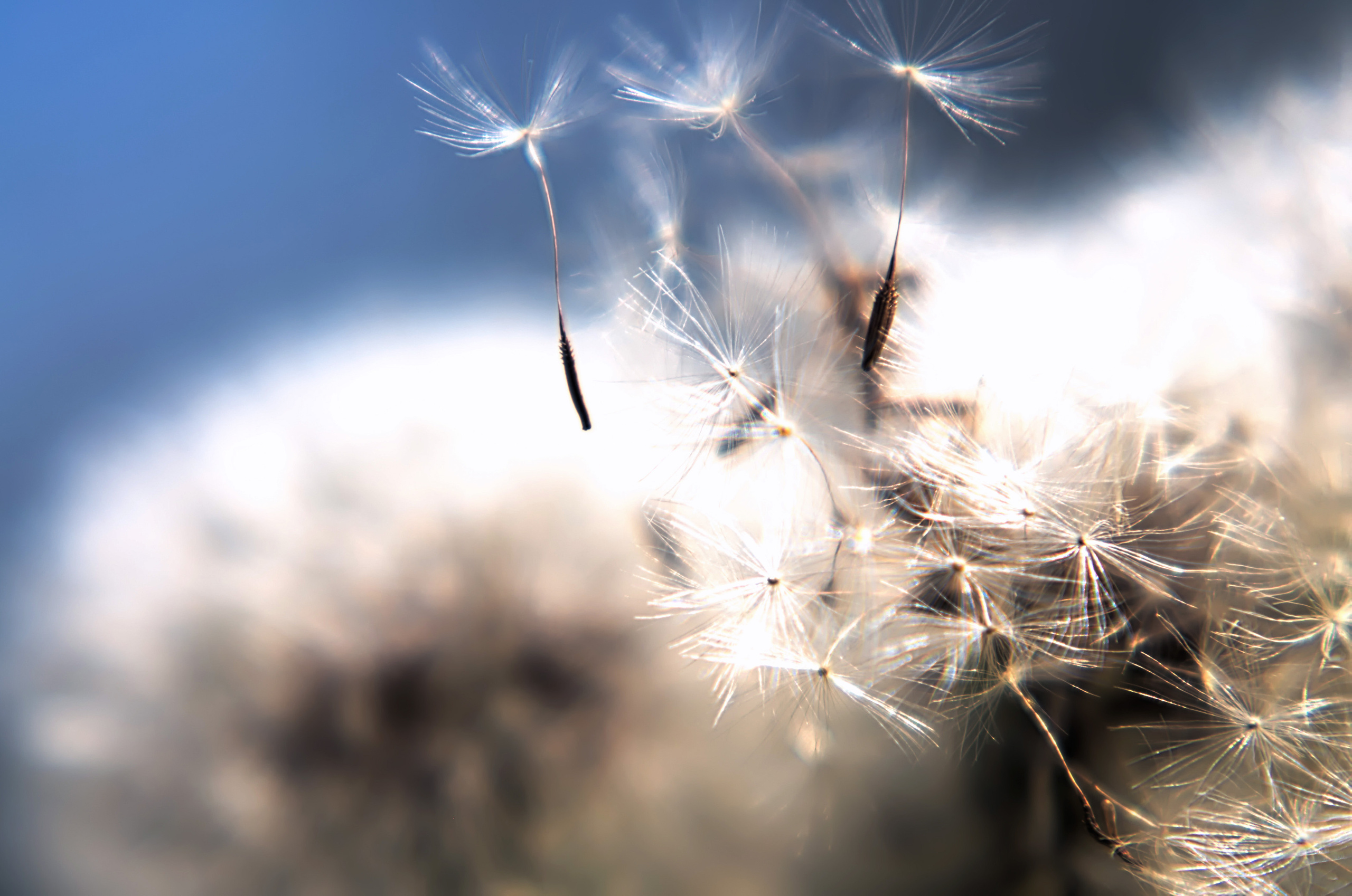 Для души. Сейчас вылетит ПТИЧКА! Фотосессии в Керчи