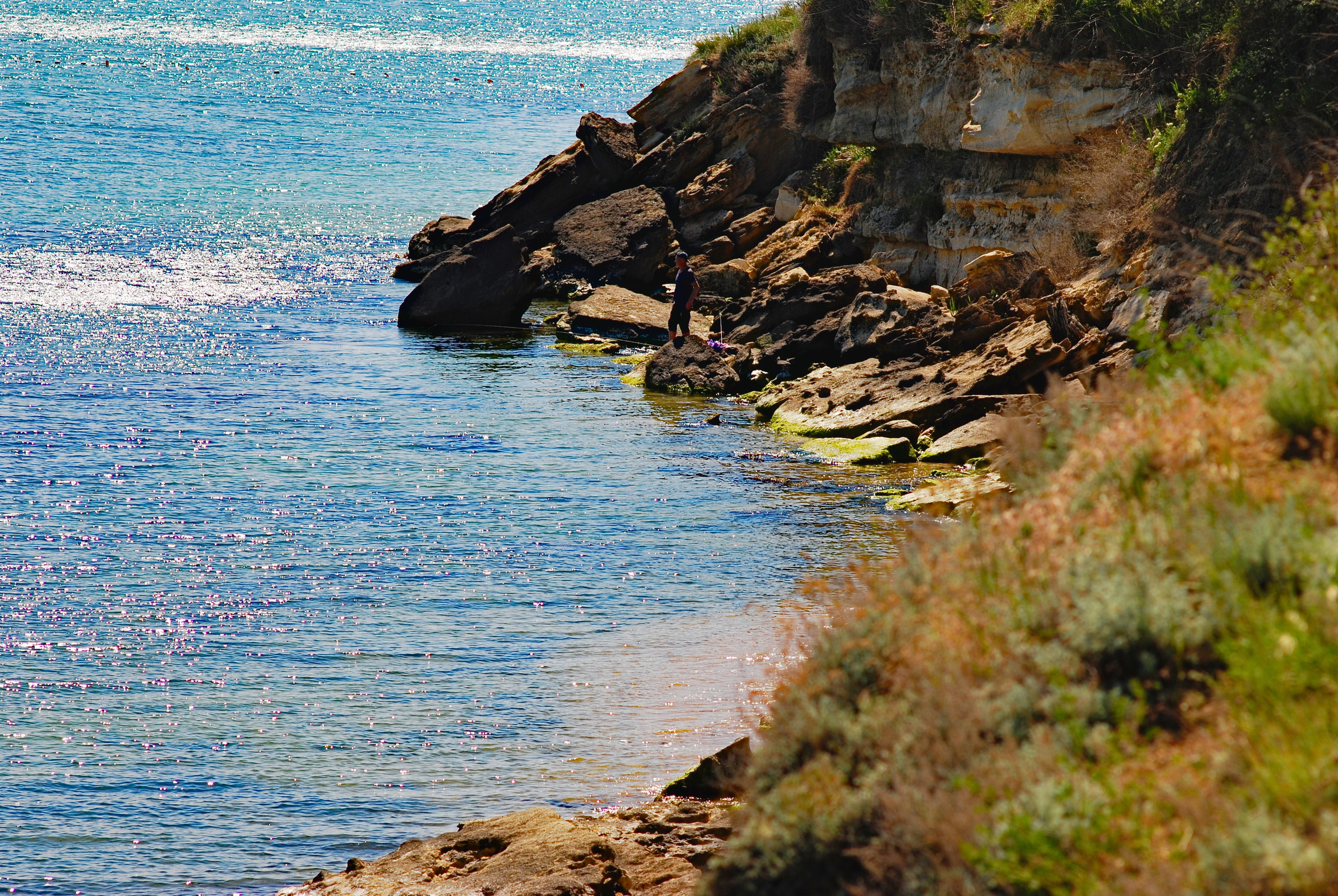 Для души. Сейчас вылетит ПТИЧКА! Фотосессии в Керчи