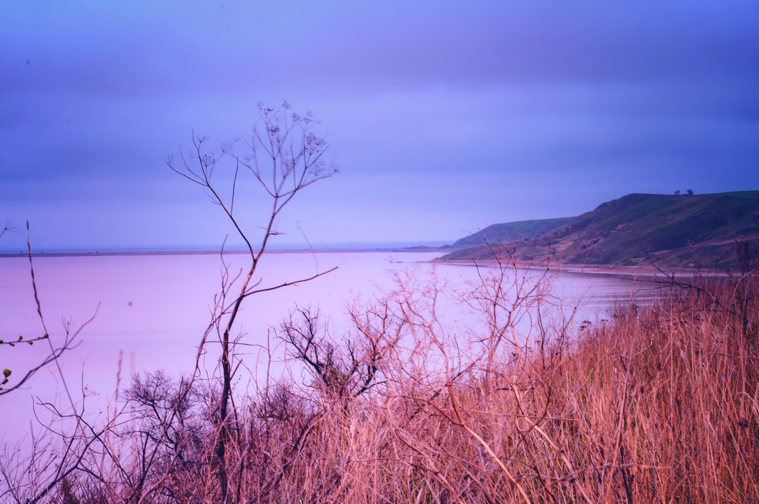 Для души. Сейчас вылетит ПТИЧКА! Фотосессии в Керчи