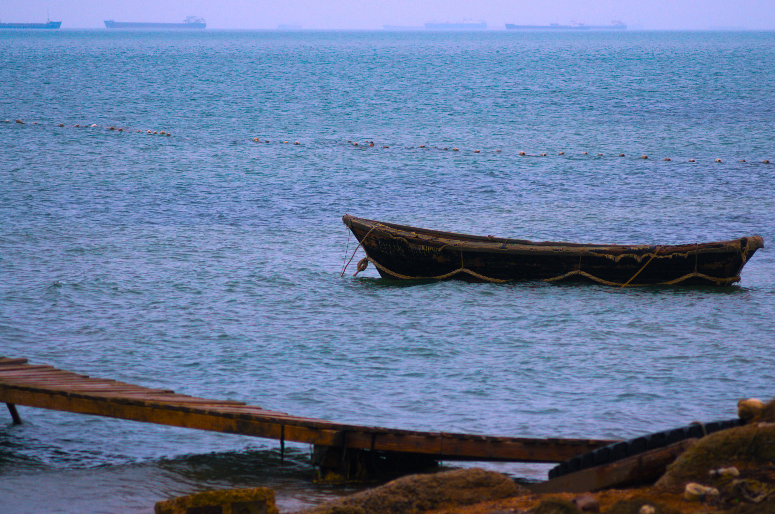 Для души. Сейчас вылетит ПТИЧКА! Фотосессии в Керчи