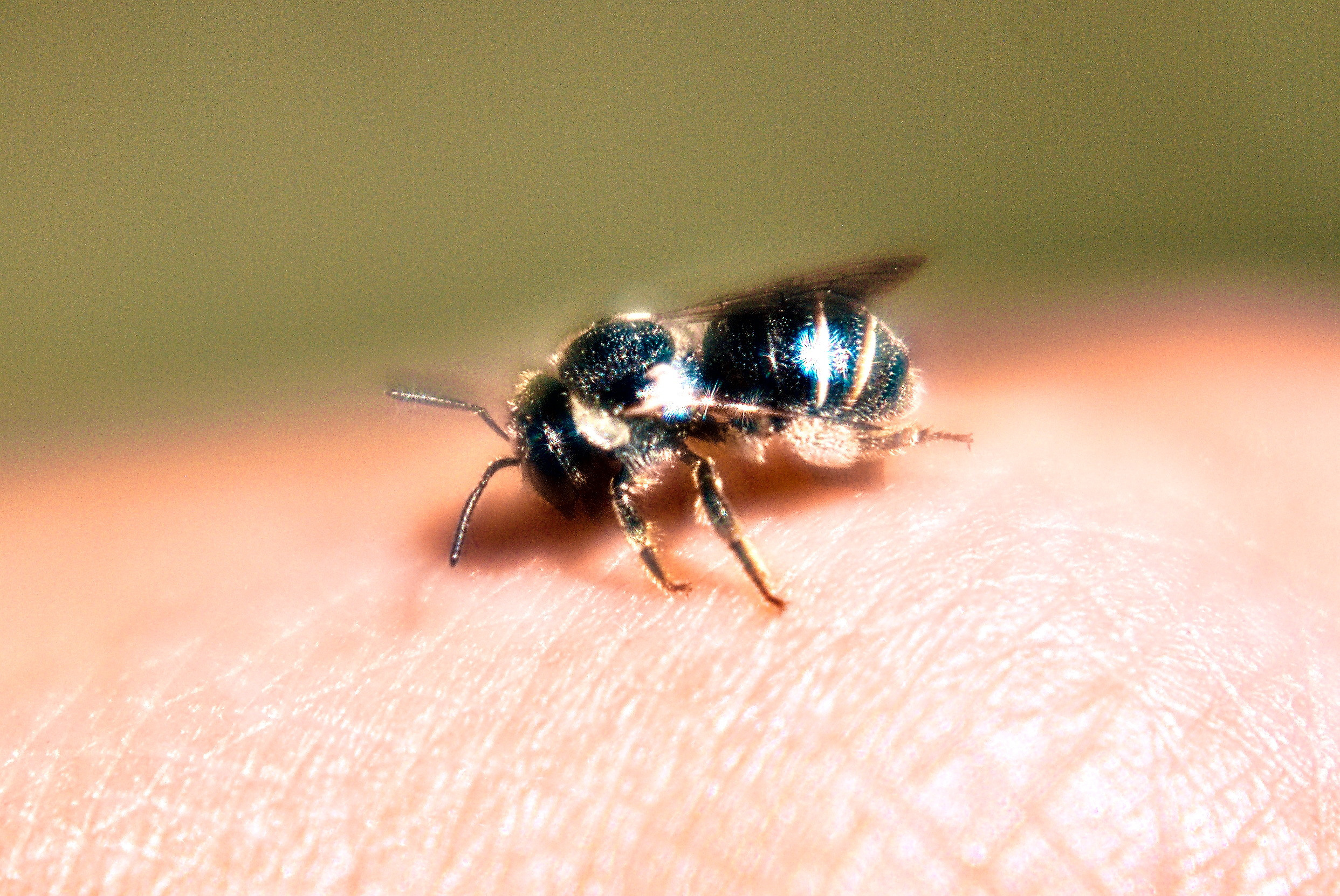 Для души. Сейчас вылетит ПТИЧКА! Фотосессии в Керчи