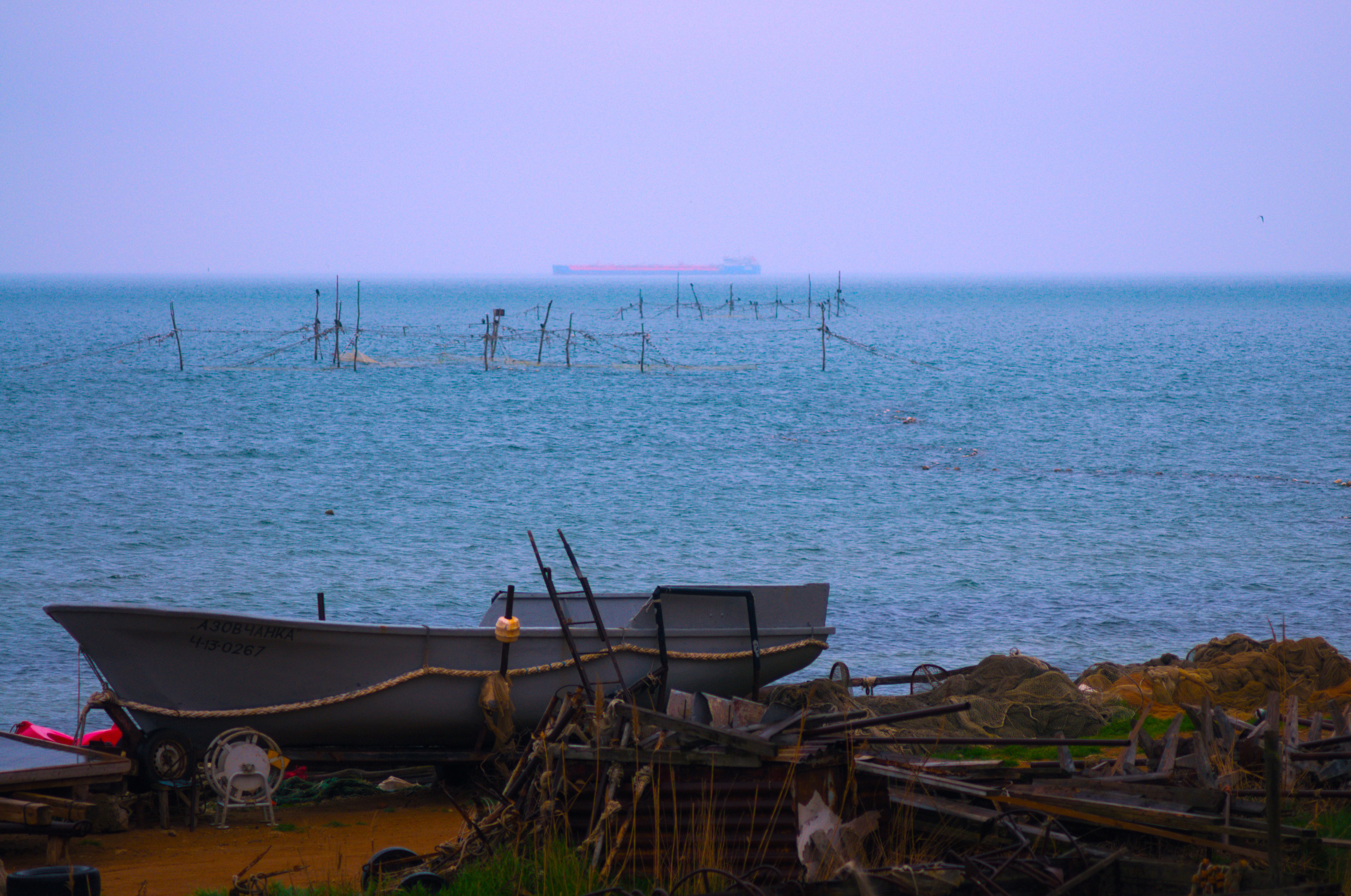 Для души. Сейчас вылетит ПТИЧКА! Фотосессии в Керчи