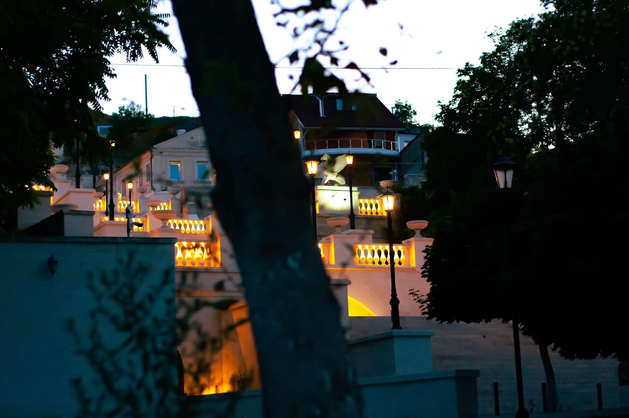 Для души. Сейчас вылетит ПТИЧКА! Фотосессии в Керчи