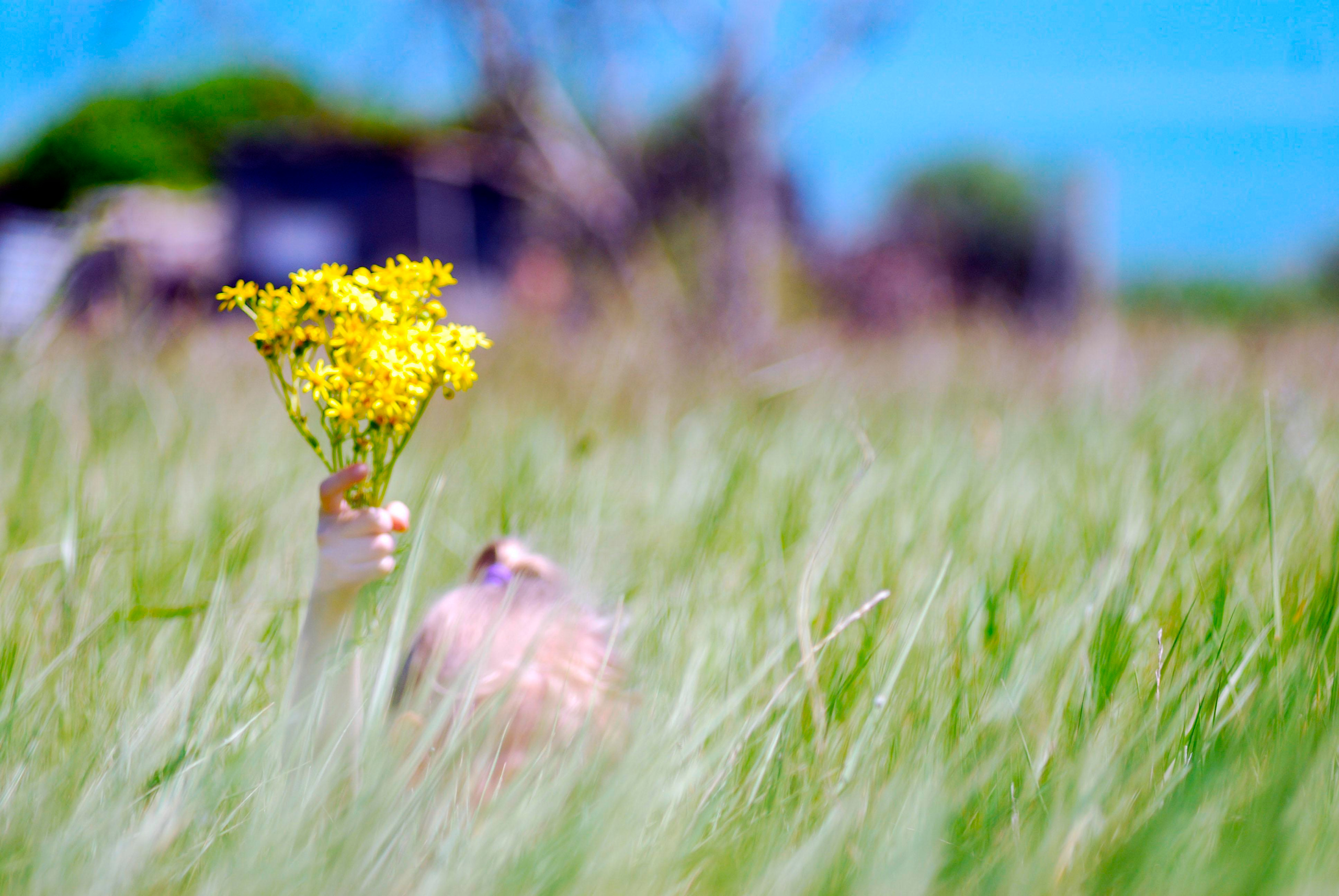Для души. Сейчас вылетит ПТИЧКА! Фотосессии в Керчи