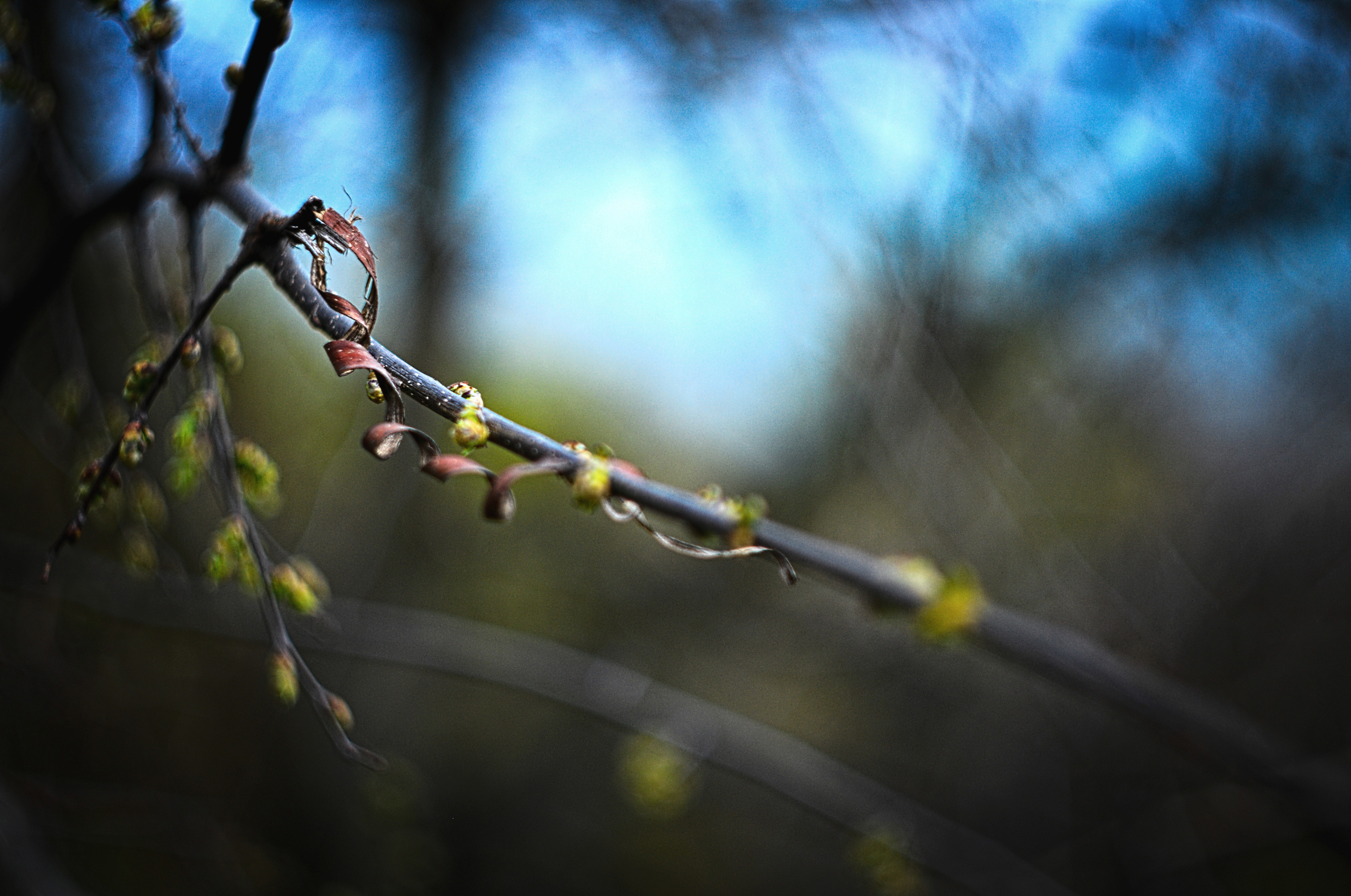 Для души. Сейчас вылетит ПТИЧКА! Фотосессии в Керчи