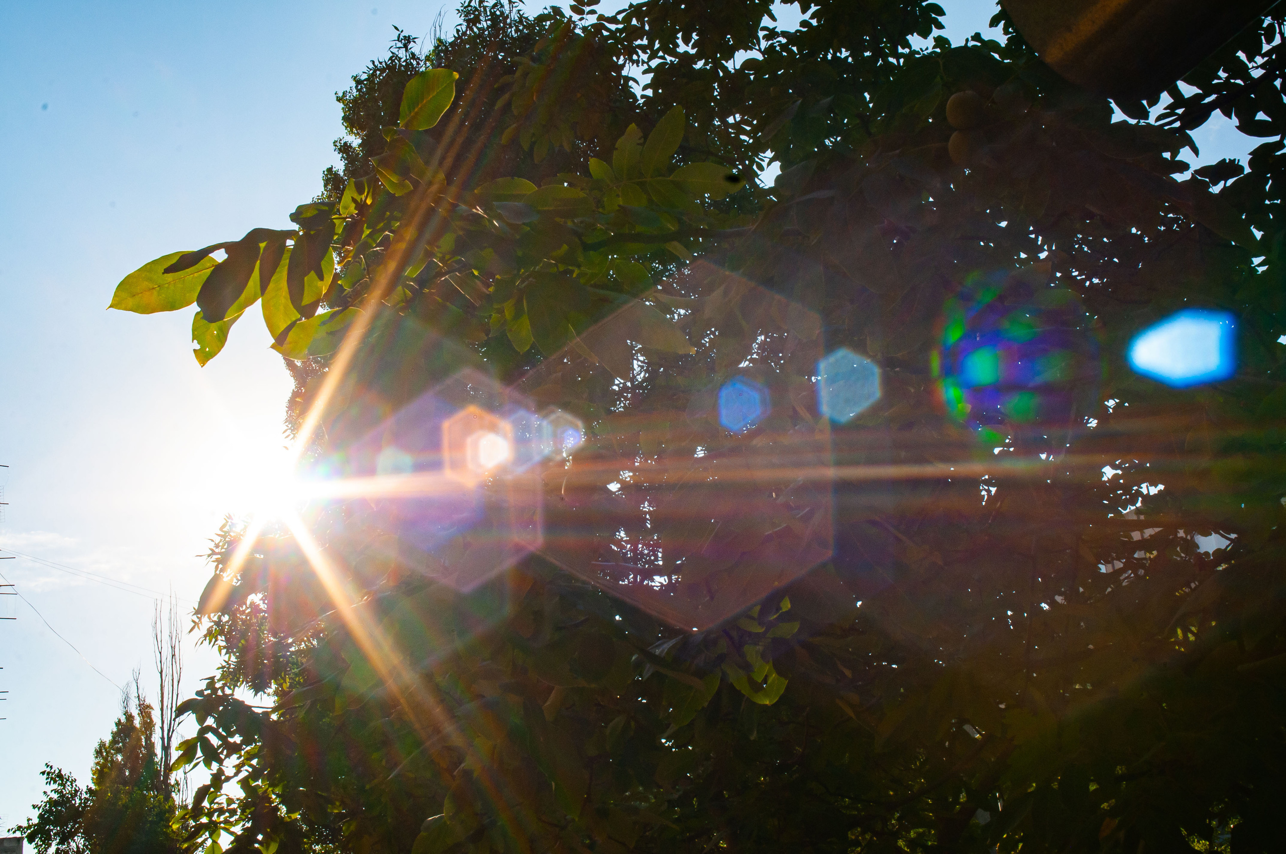 Для души. Сейчас вылетит ПТИЧКА! Фотосессии в Керчи