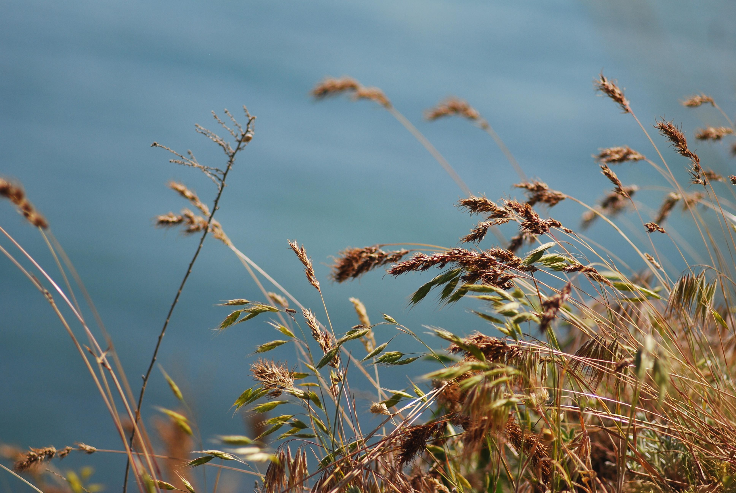 Для души. Сейчас вылетит ПТИЧКА! Фотосессии в Керчи