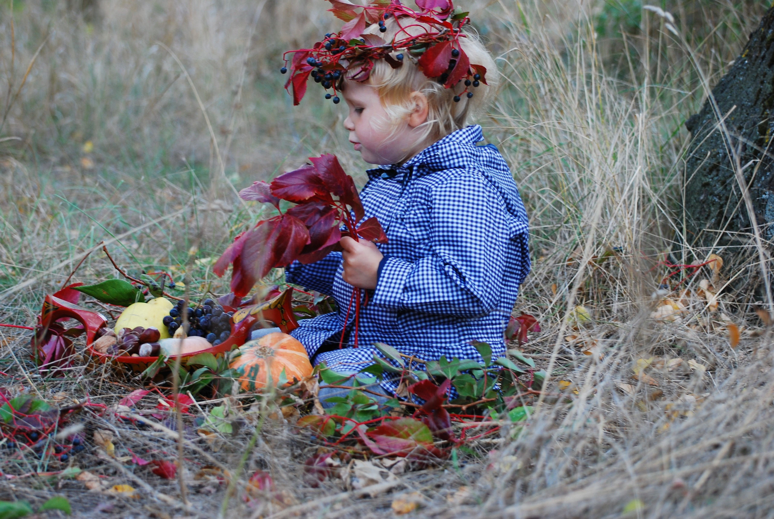 Дети. Сейчас вылетит ПТИЧКА! Фотосессии в Керчи