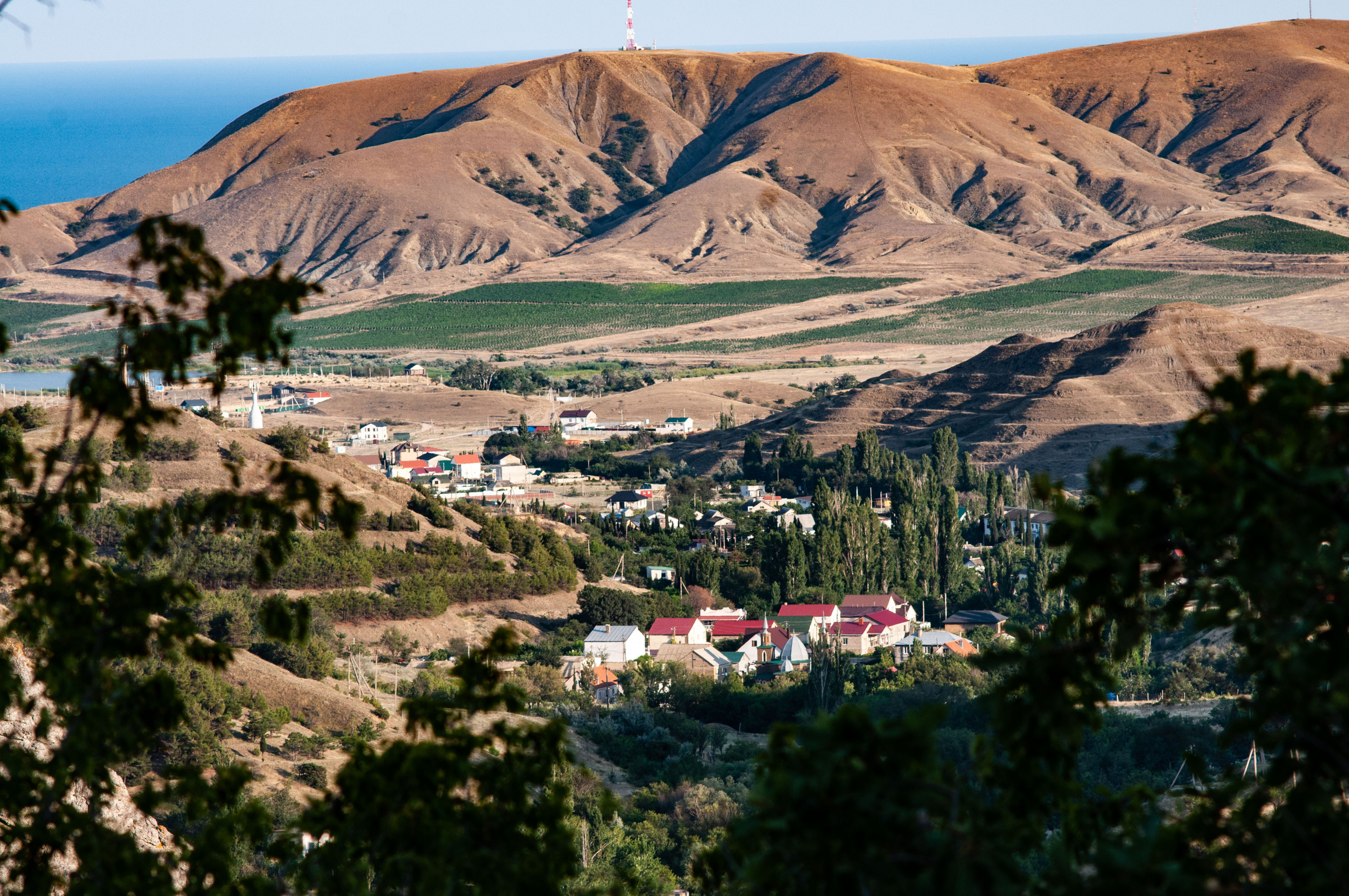 Для души. Сейчас вылетит ПТИЧКА! Фотосессии в Керчи