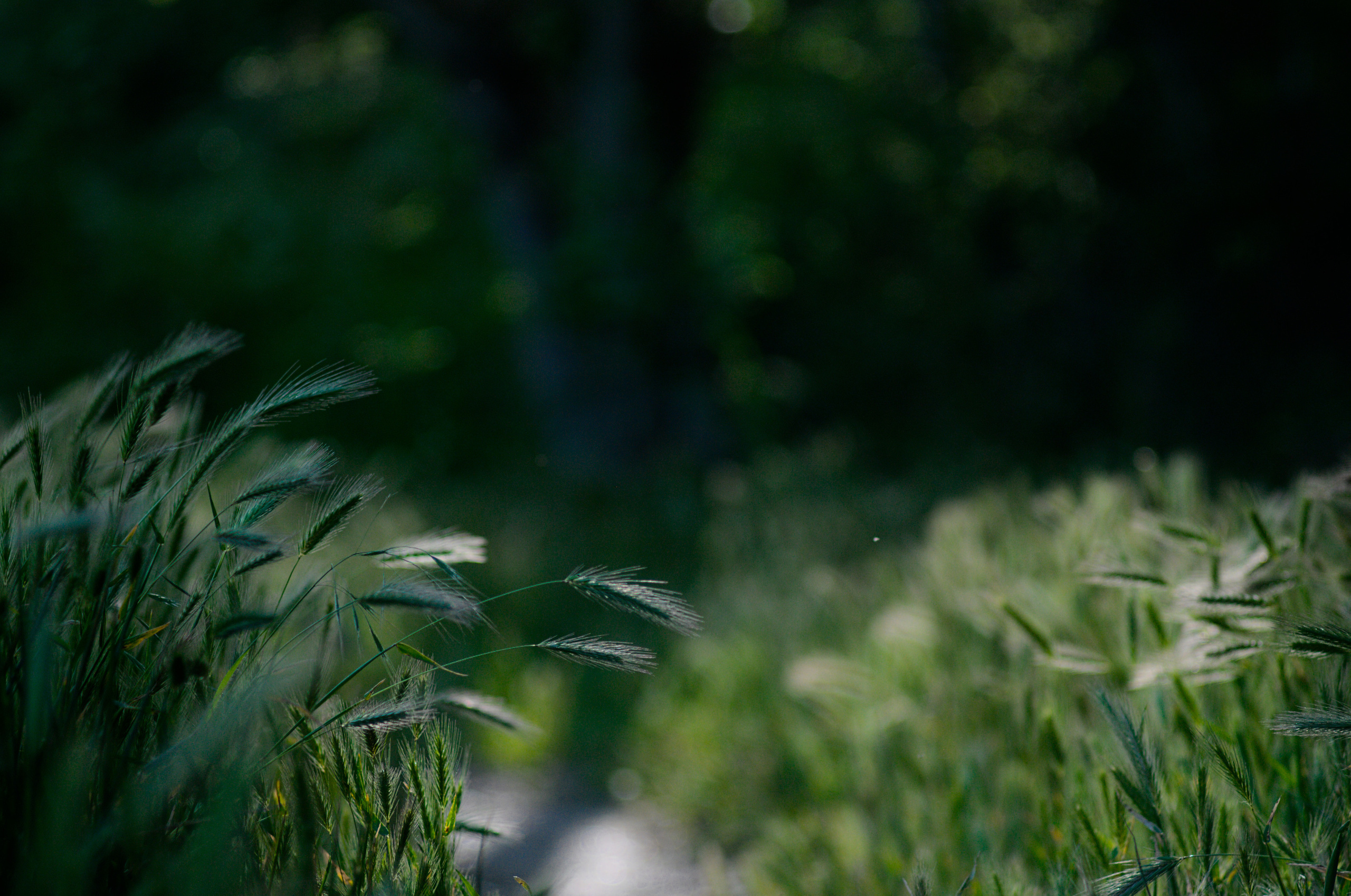 Прогулка двух подружек. Сейчас вылетит ПТИЧКА! Фотосессии в Керчи