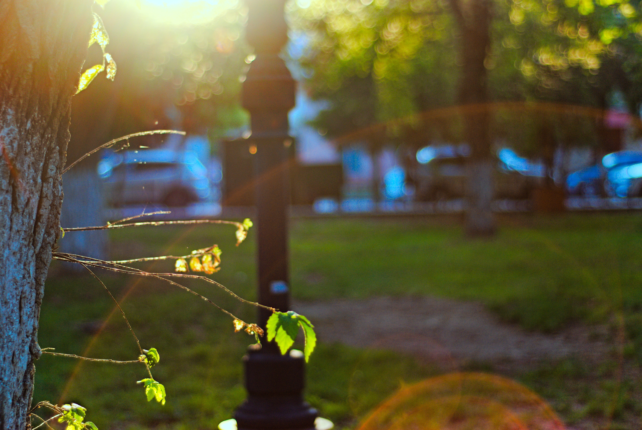 Для души. Сейчас вылетит ПТИЧКА! Фотосессии в Керчи