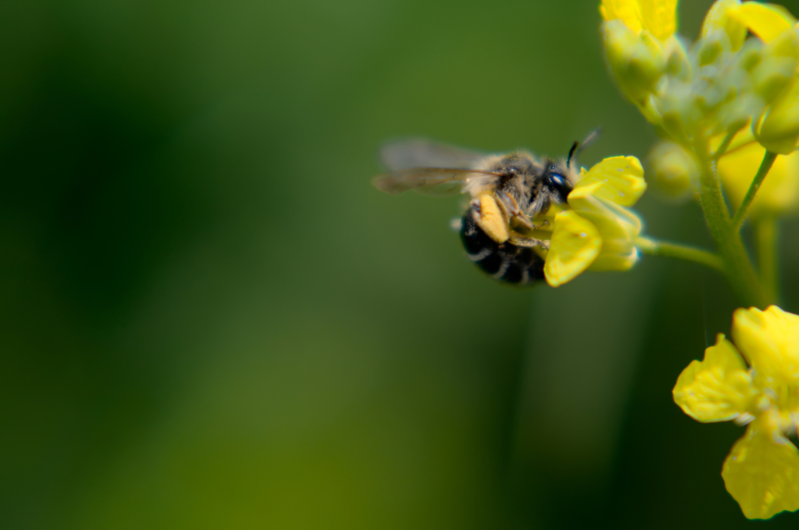 Для души. Сейчас вылетит ПТИЧКА! Фотосессии в Керчи