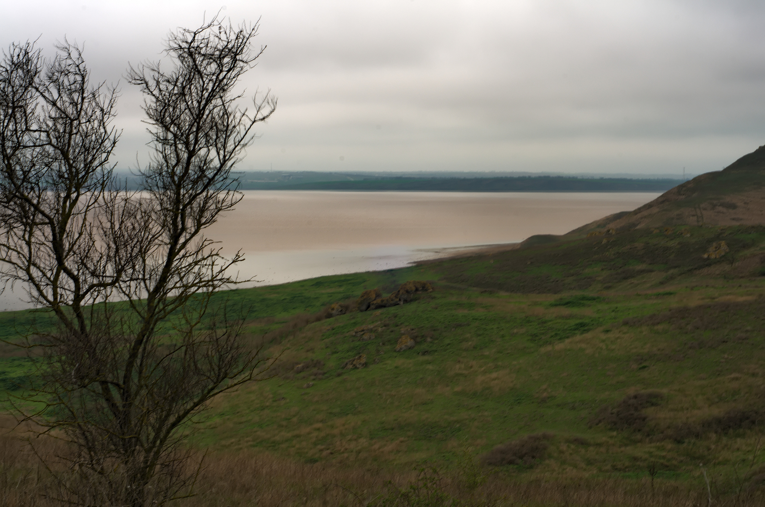 Для души. Сейчас вылетит ПТИЧКА! Фотосессии в Керчи