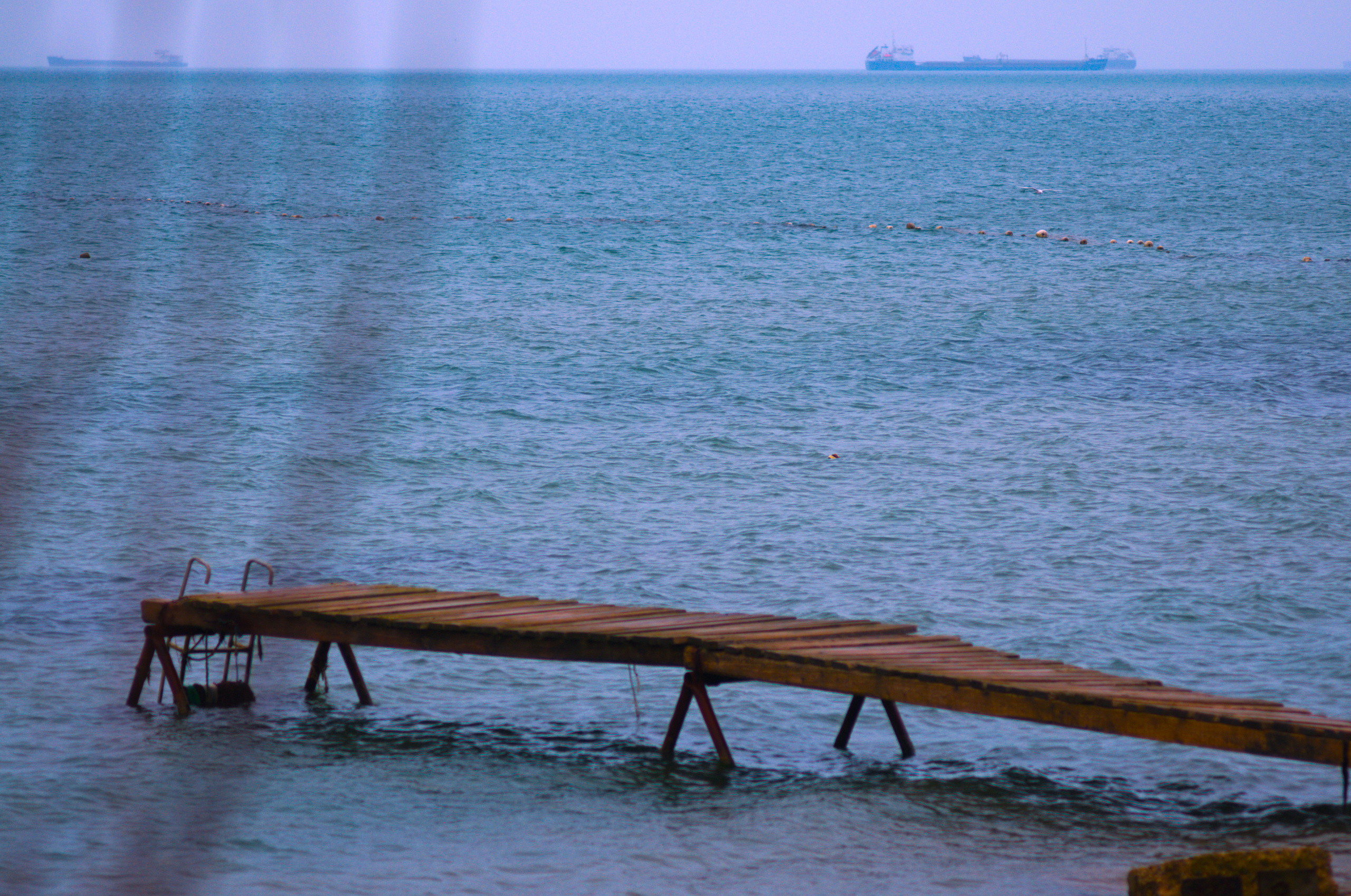 Для души. Сейчас вылетит ПТИЧКА! Фотосессии в Керчи