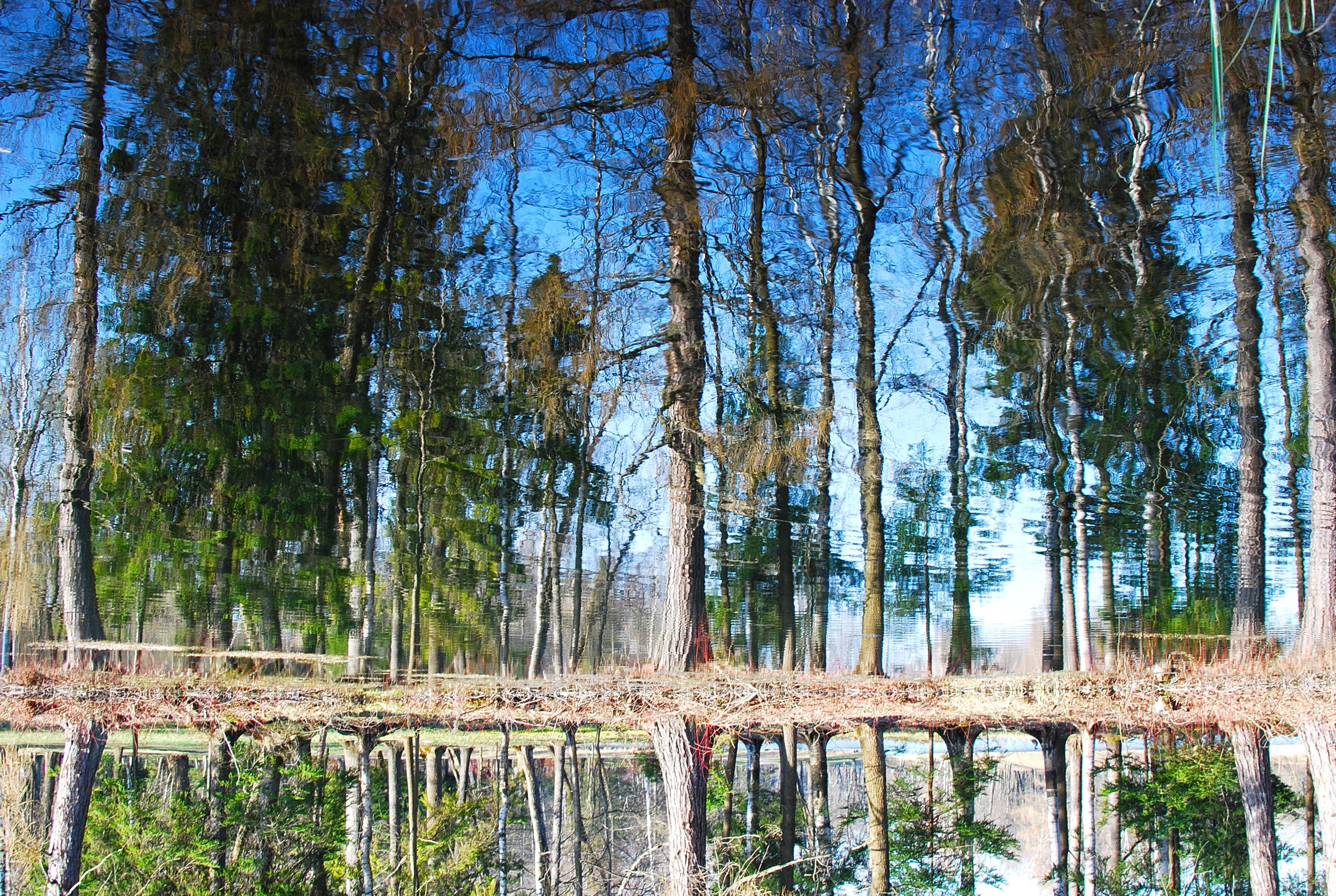 Для души. Сейчас вылетит ПТИЧКА! Фотосессии в Керчи