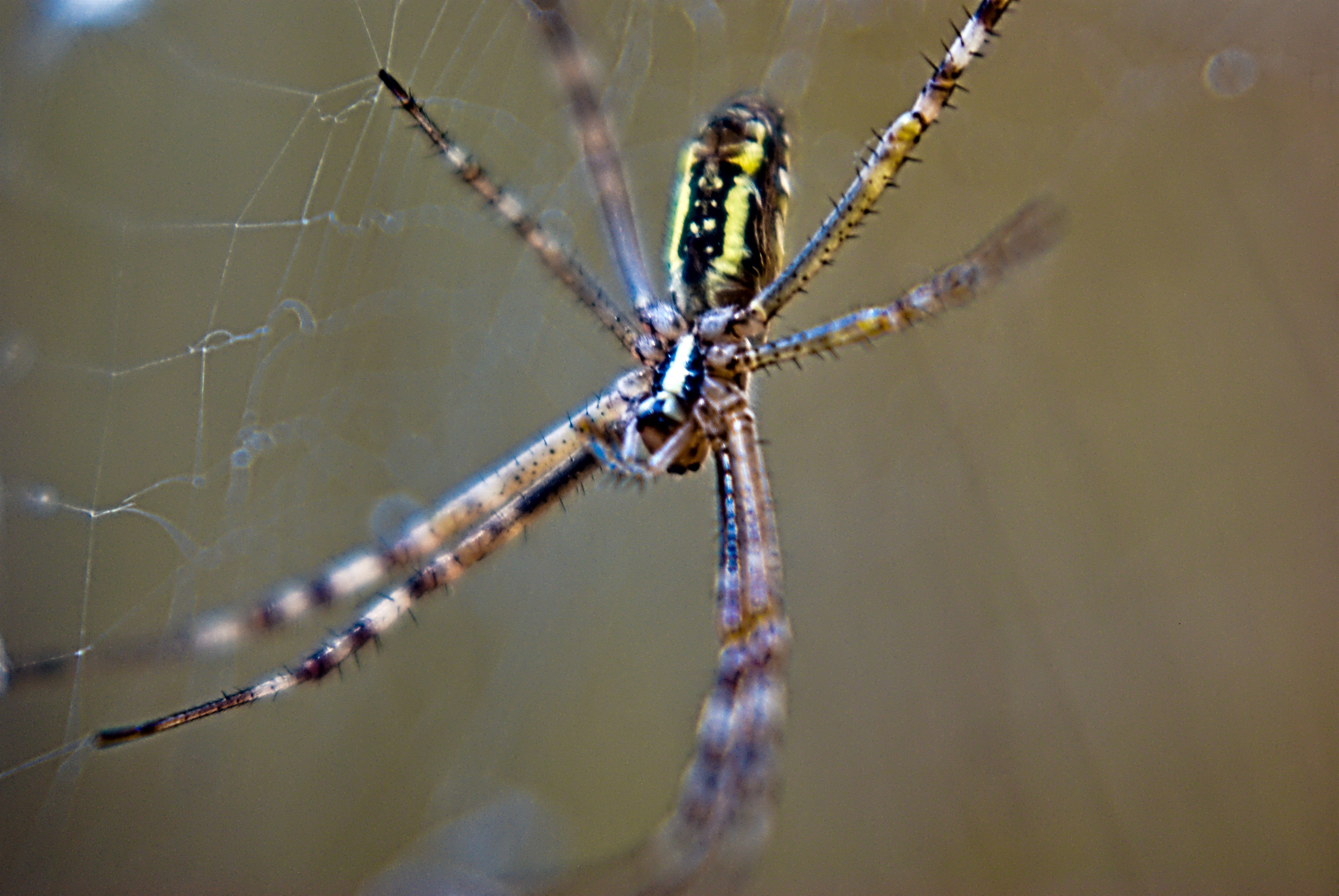 Для души. Сейчас вылетит ПТИЧКА! Фотосессии в Керчи