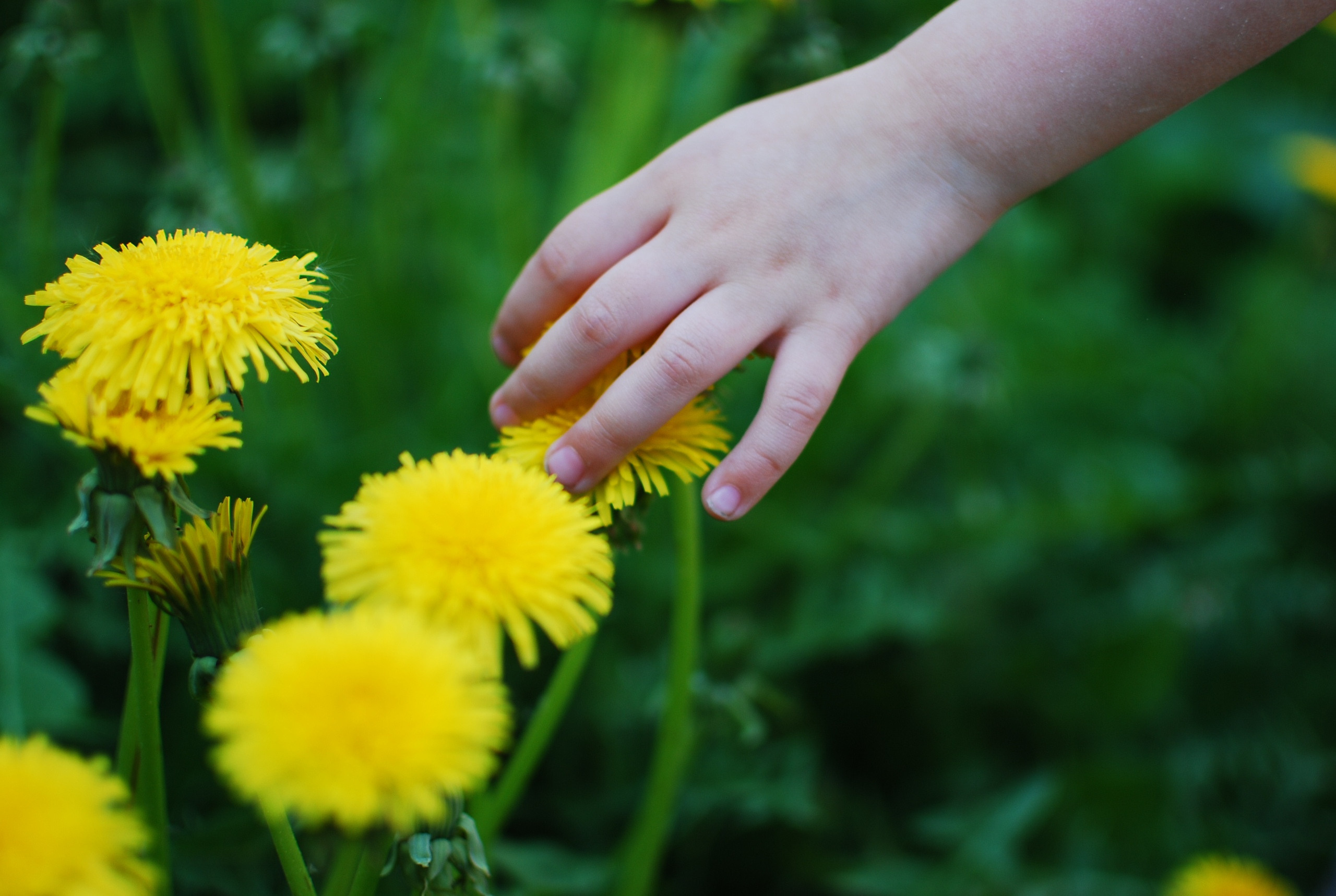 Для души. Сейчас вылетит ПТИЧКА! Фотосессии в Керчи