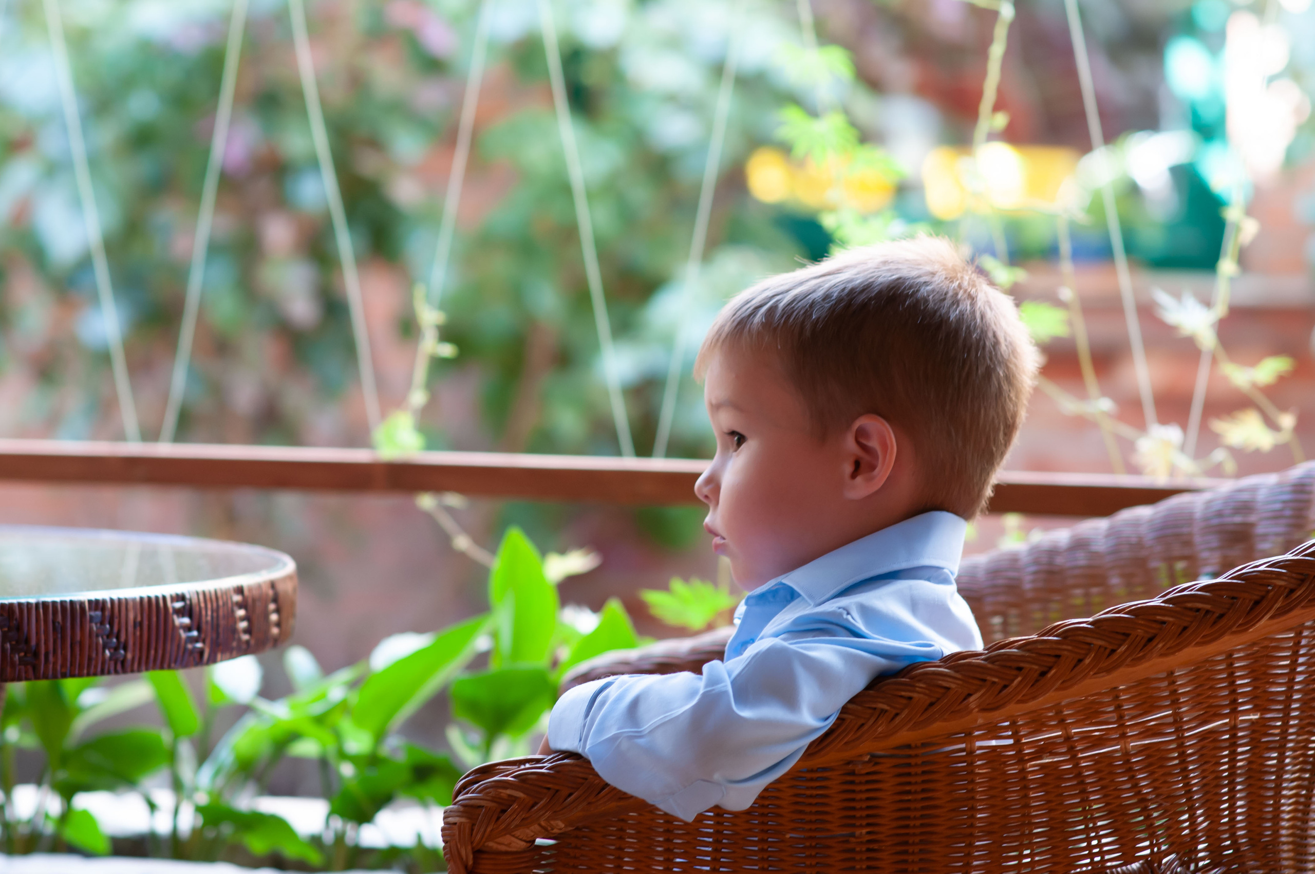 Дети. Сейчас вылетит ПТИЧКА! Фотосессии в Керчи