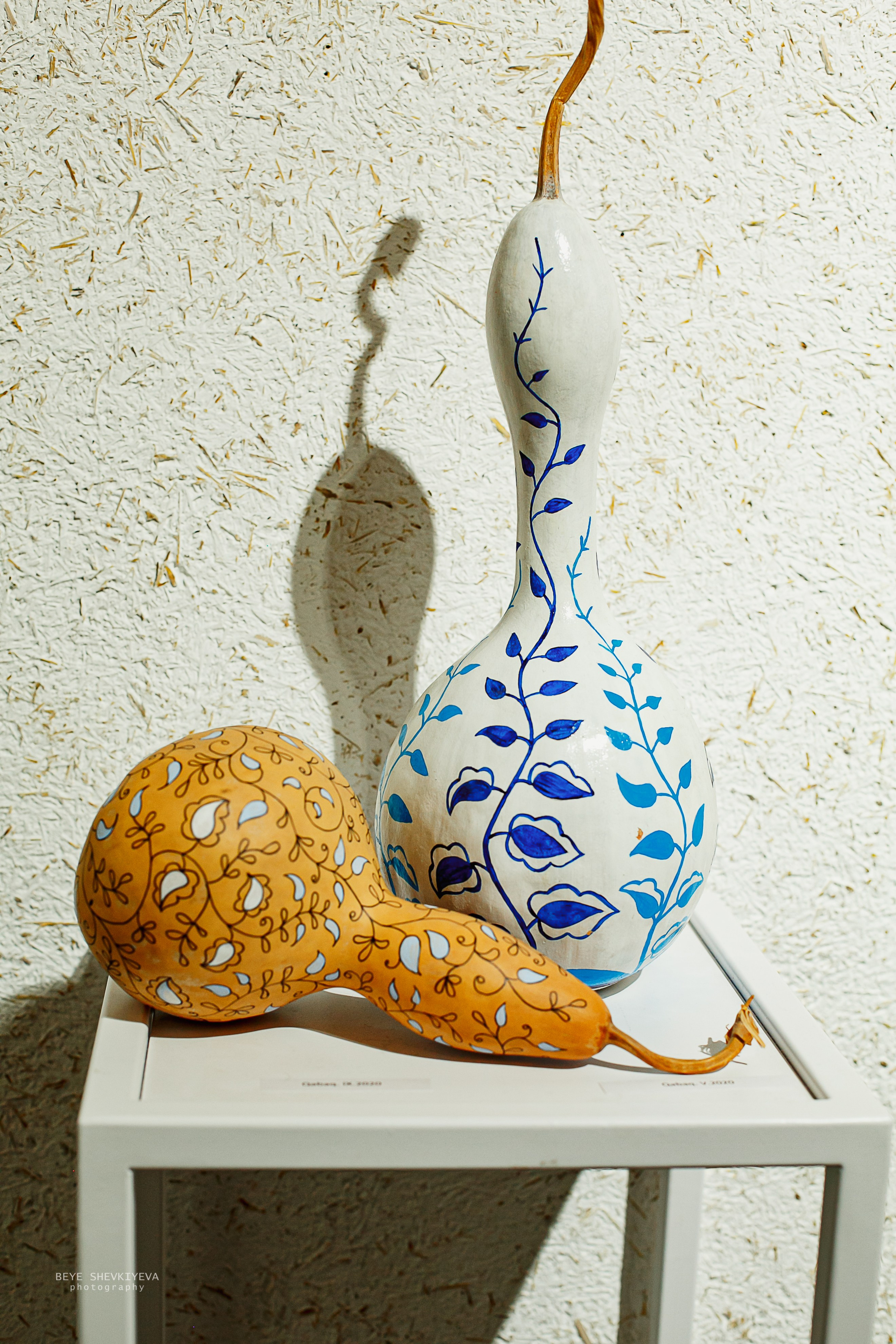 Afize Yusuf qizi. Beye Shevkiyeva Photography