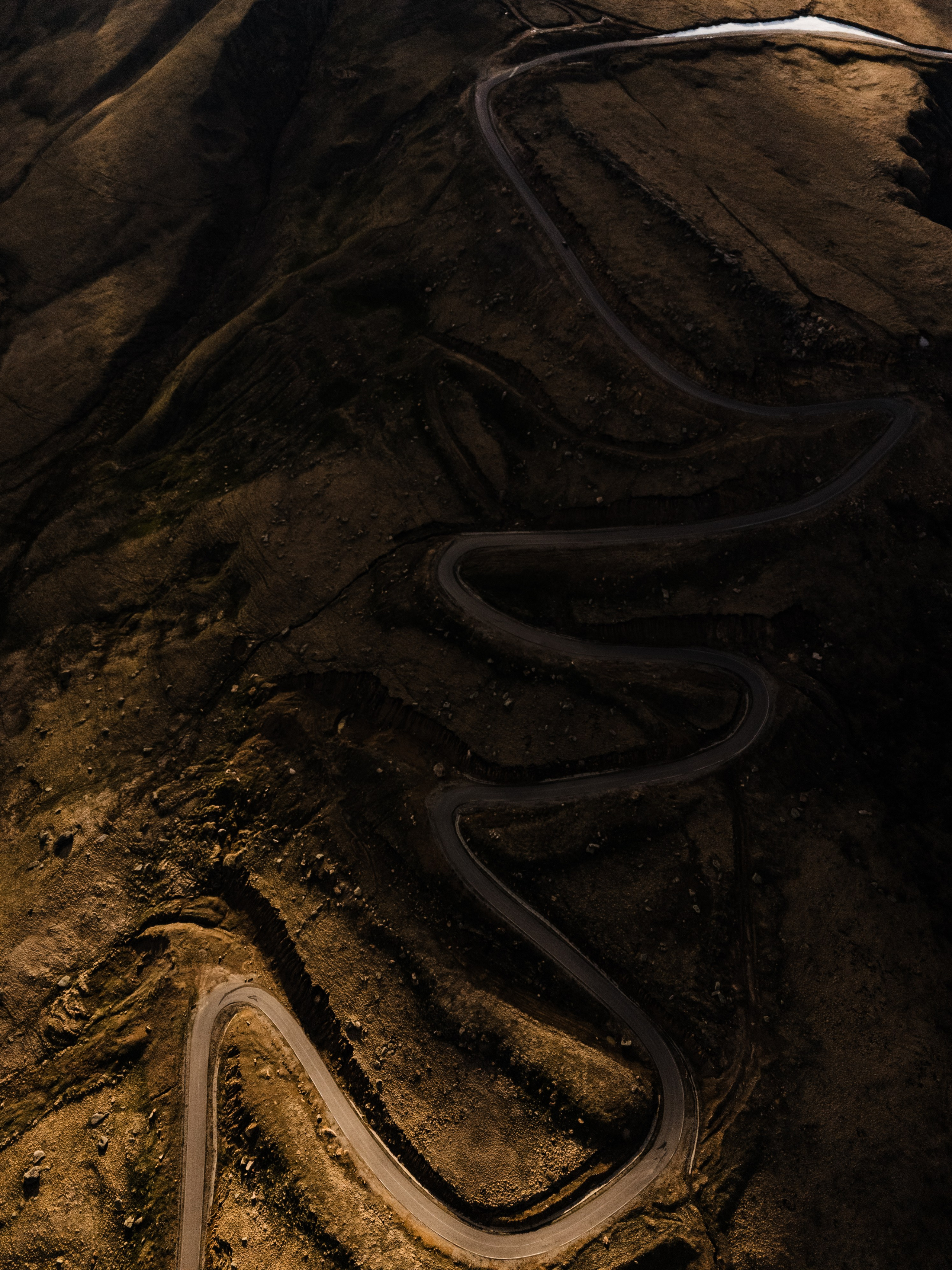 Elbrus. Свадебный и семейный фотограф в Краснодаре Роман Моско