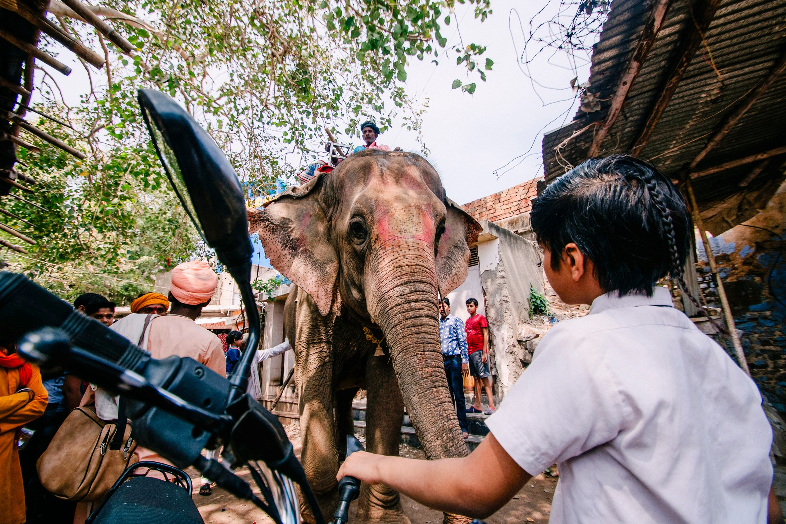 Pushkar street. Iraogo