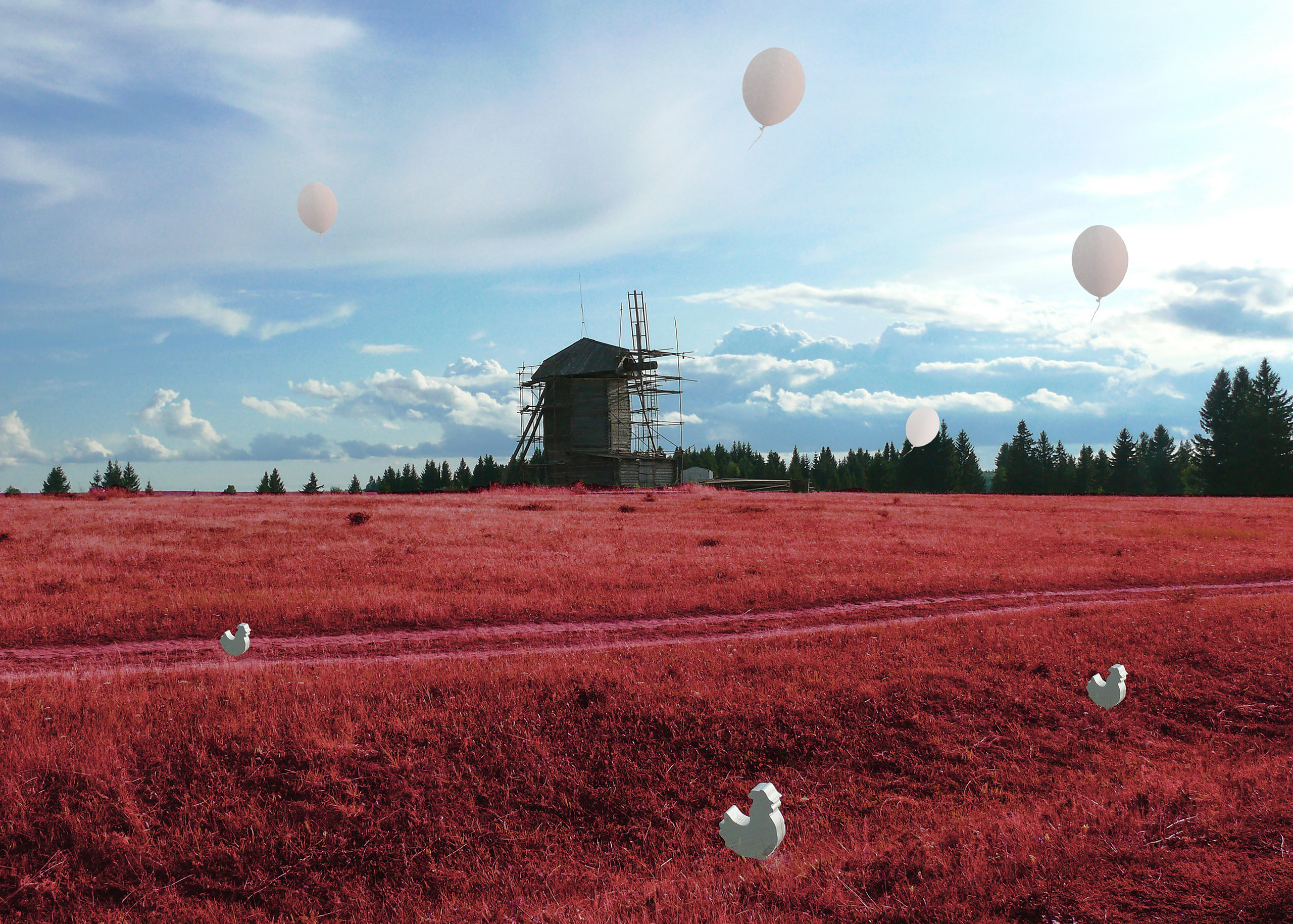 Бабушки уходят в небо (2025 -…). Liudmila Bogdanova Photography | Mila Dozhd