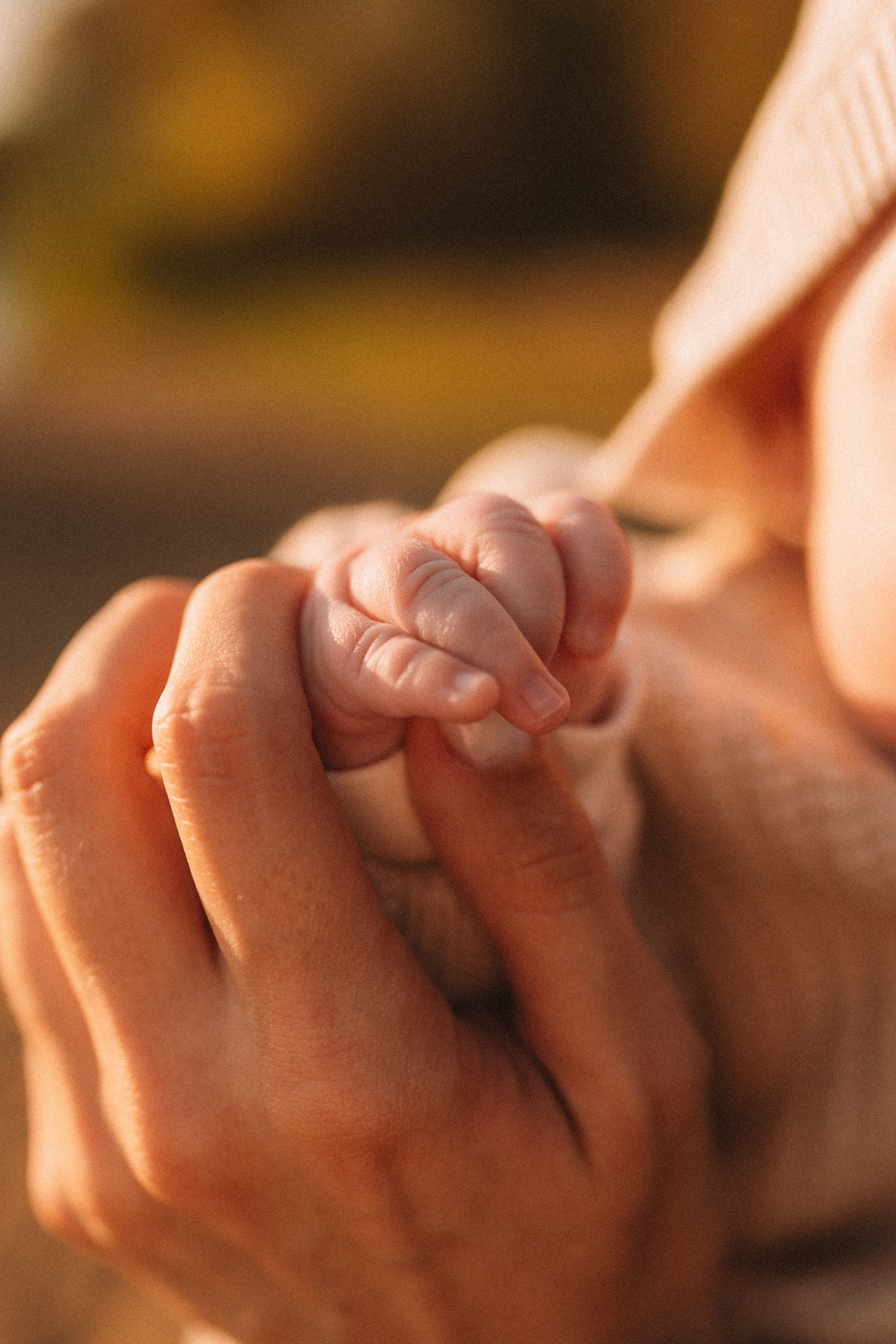 Саша, Влад и Катя. Семейный фотограф Валерия Фабричникова, Москва
