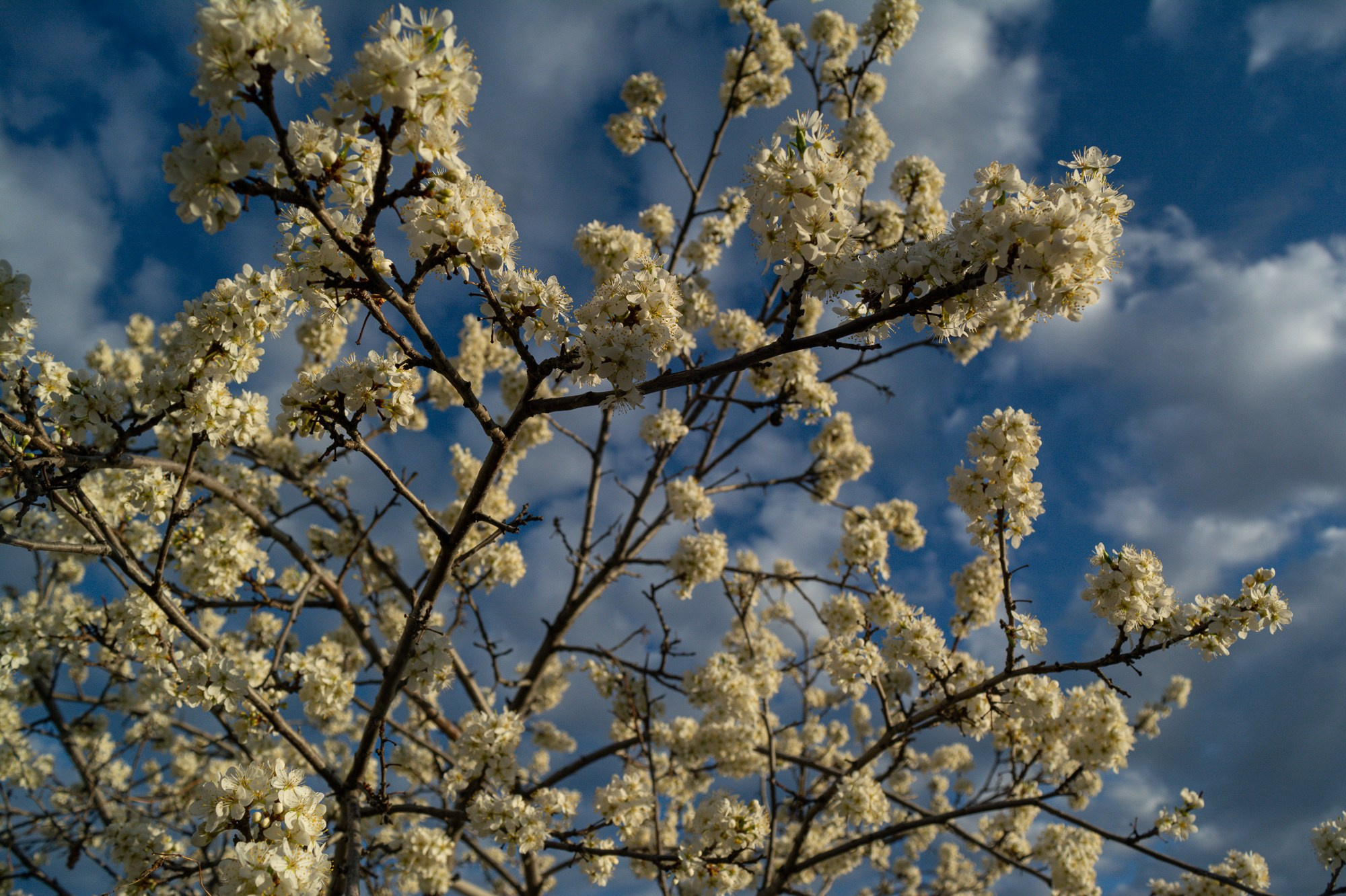 Разное. Репортажный фотограф г. Чита